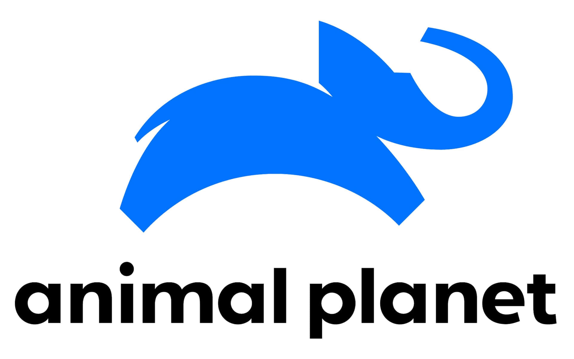 藍色大象標誌與文字 animal planet