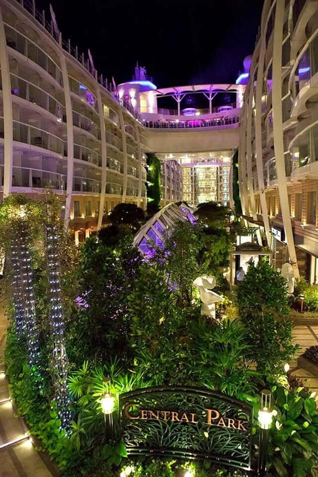 在嘉年華 Vista 船上享受精彩假期 壁紙 — 郵輪中央公園的充滿活力的夜景，茂密的綠植在五彩燈光下閃耀。