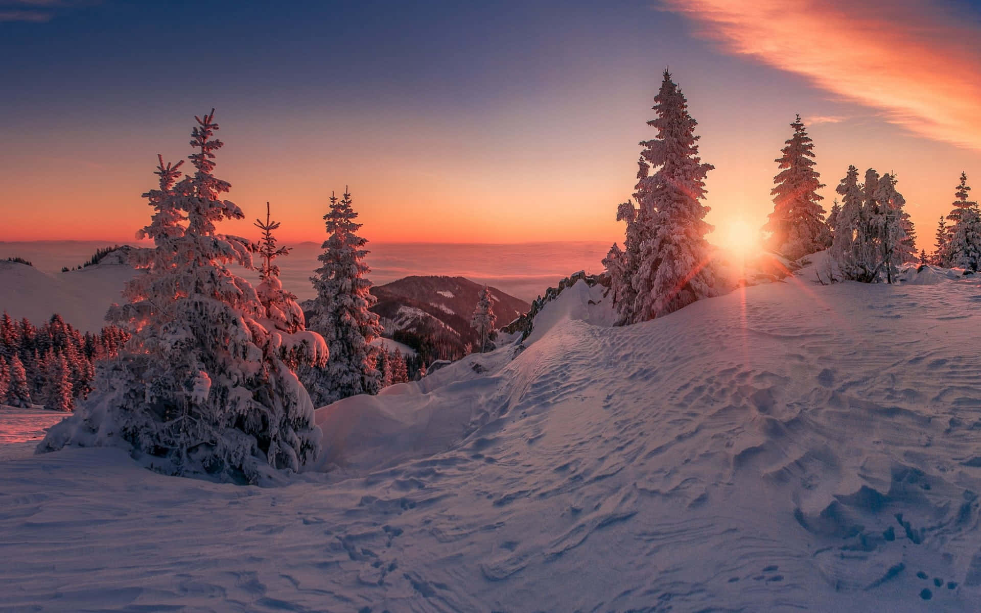 在大自然中重拾能量 壁紙 — 夕陽將白雪覆蓋的山峰和結霜的松樹染成火熱的橙色和紫色。