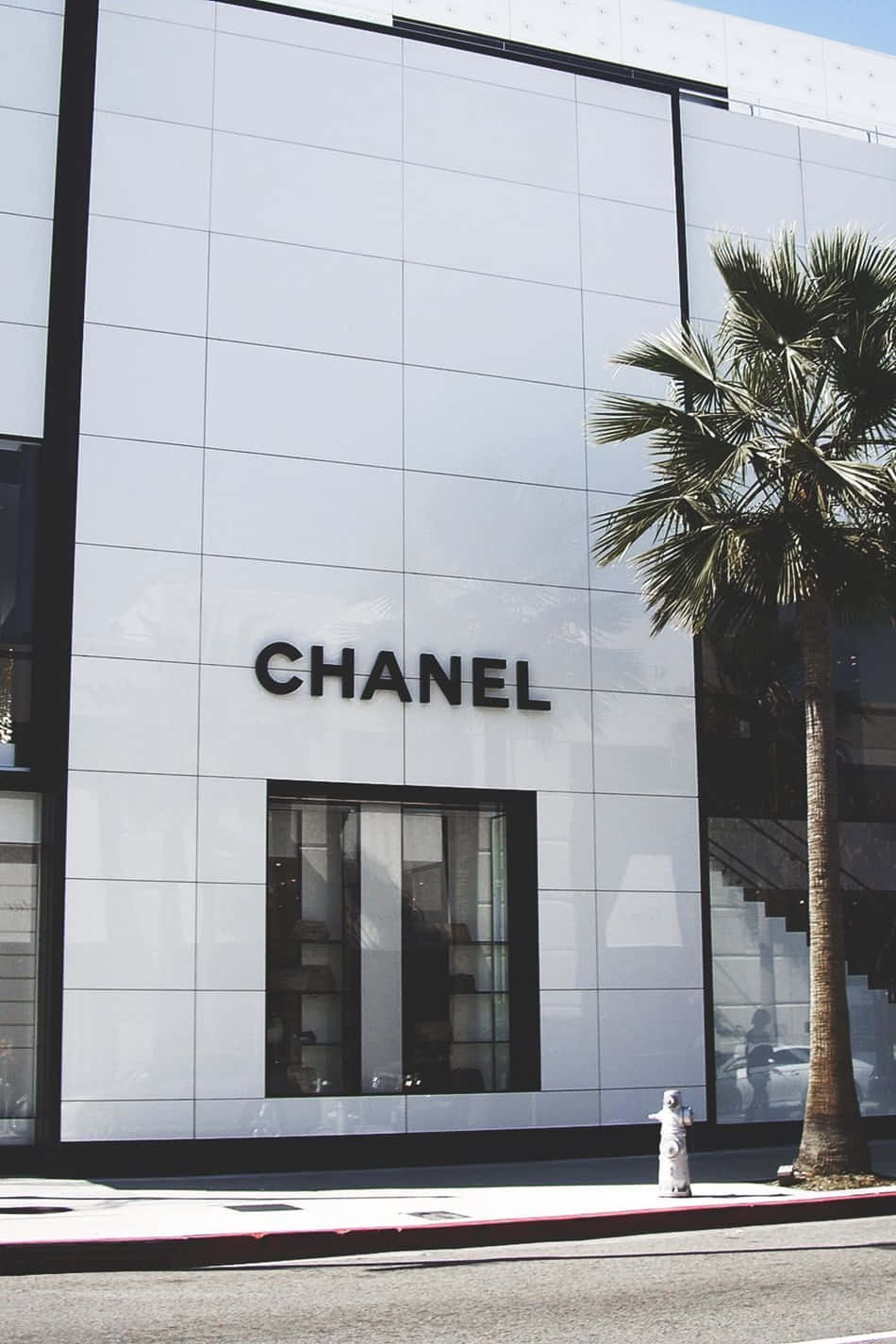 陽光普照的行人路上，Chanel 店舖與棕櫚樹。