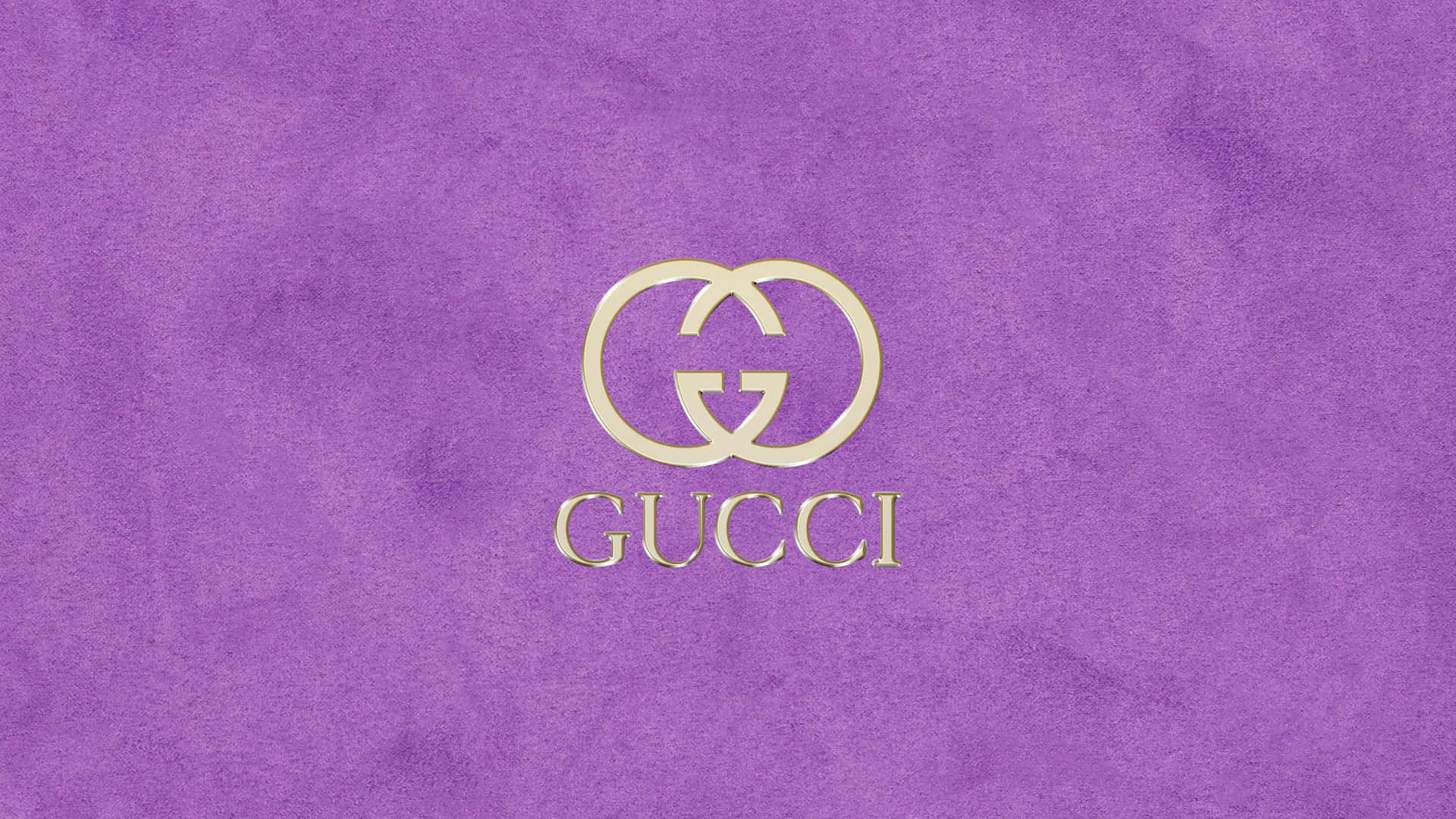 紫色天鵝絨背景上的金色Gucci標誌