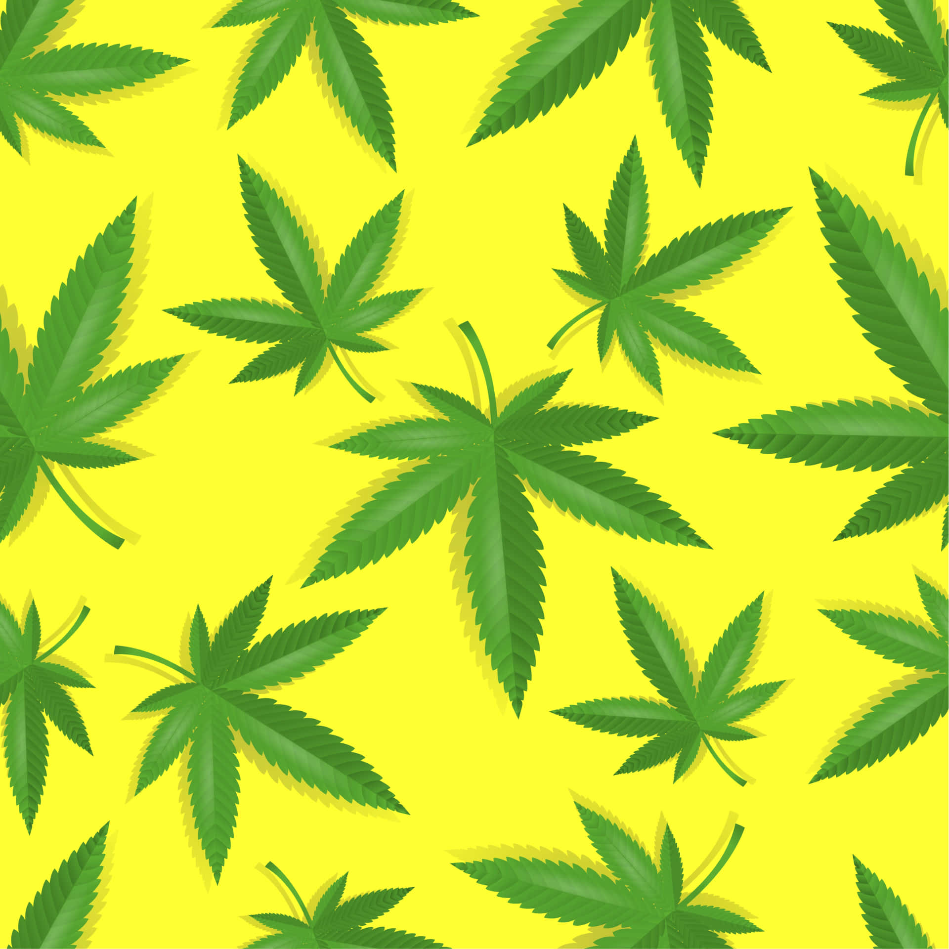 綠色大麻葉在明亮的黃色背景上以重複圖案呈現。