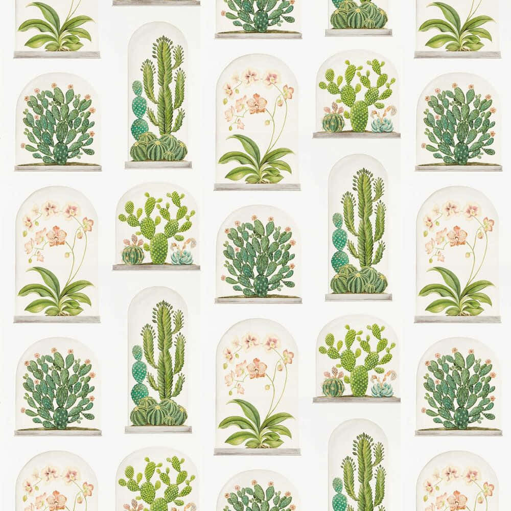 在家中打造獨特活體花園 壁紙 — 重複的牆紙圖案，描繪拱形玻璃罩內的仙人掌和蘭花插圖，背景為白色。