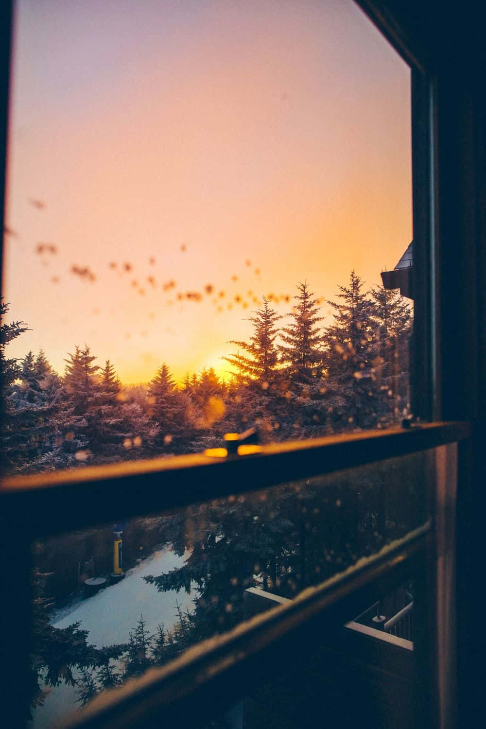 透過結霜的窗戶看到的夕陽，有白雪覆蓋的松樹和冰凍湖泊。