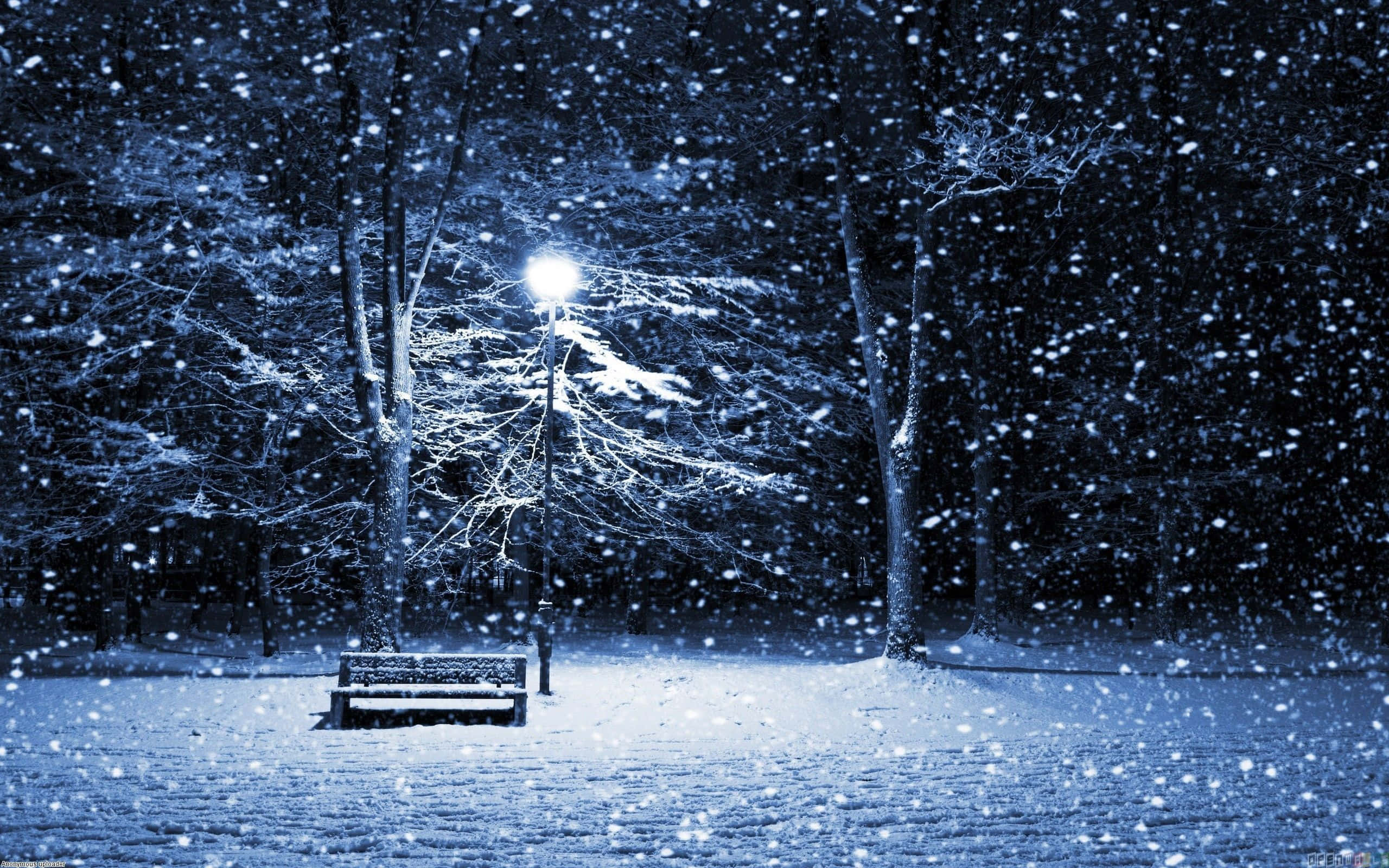 Snowy Landscape 桌布 壁紙 — 在寂靜的冬夜公園，大雪紛飛中，一張孤獨的積雪長椅在街燈下閃耀。