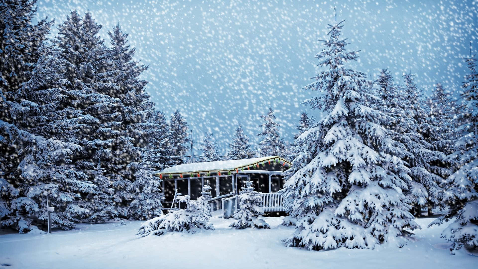 Winter Scene 桌布 壁紙 — 在寧靜的冬日森林中，一間舒適的小屋坐落在積雪的常青樹之間，伴隨著輕柔的降雪。