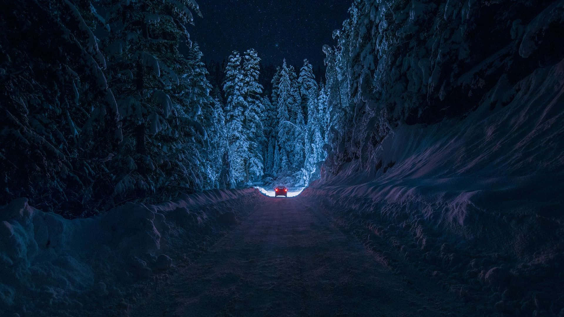 紅色汽車在雪地森林中夜間行駛，星空下