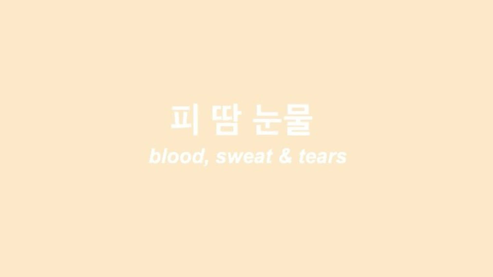 蜜桃色背景，帶有韓文及英文文字「blood sweat & tears」