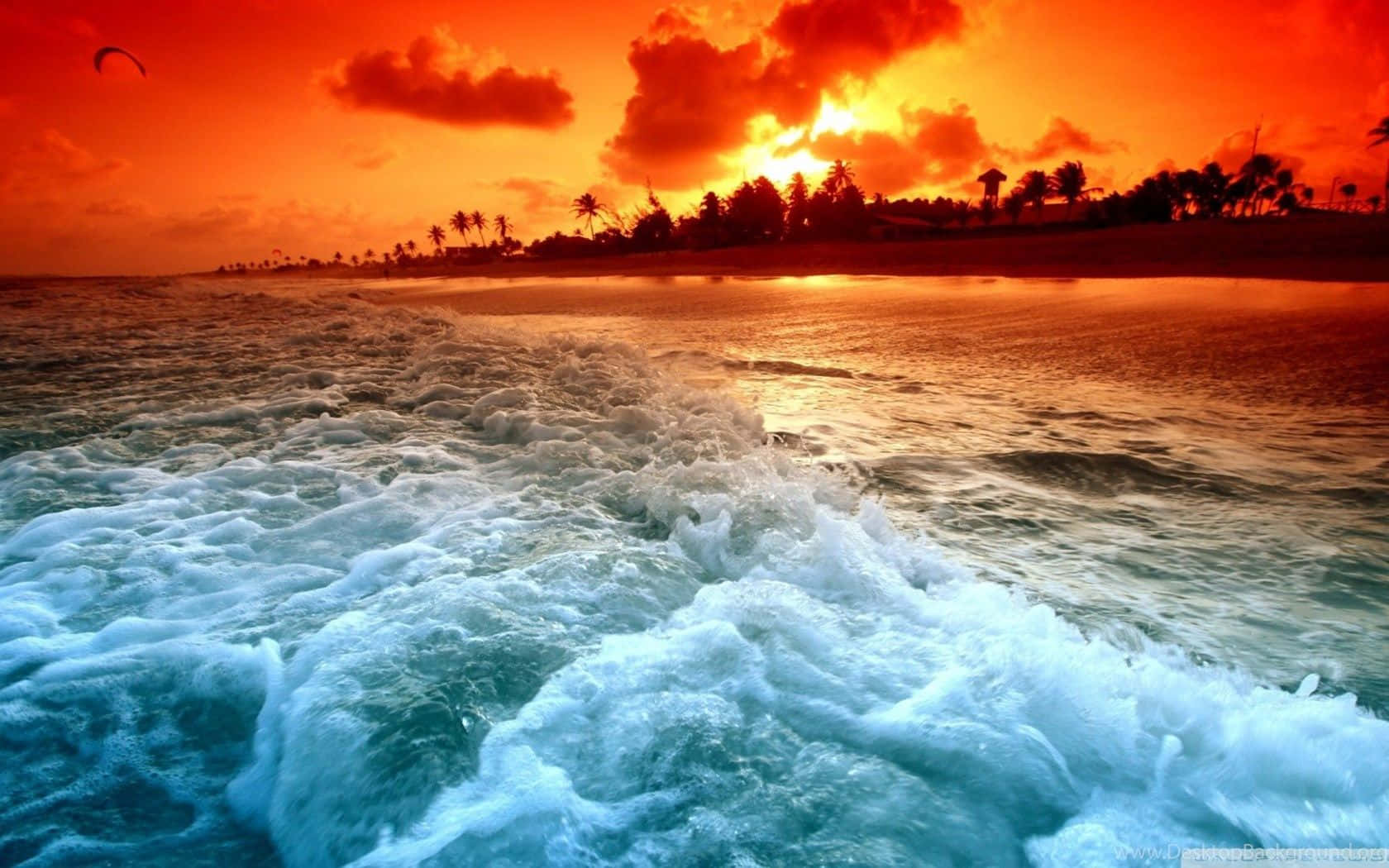 在您的桌面背景中體驗海灘日落之美 壁紙 — 鮮豔的夕陽將天空染成火橙色，海浪拍打著棕櫚樹成蔭的熱帶海岸。