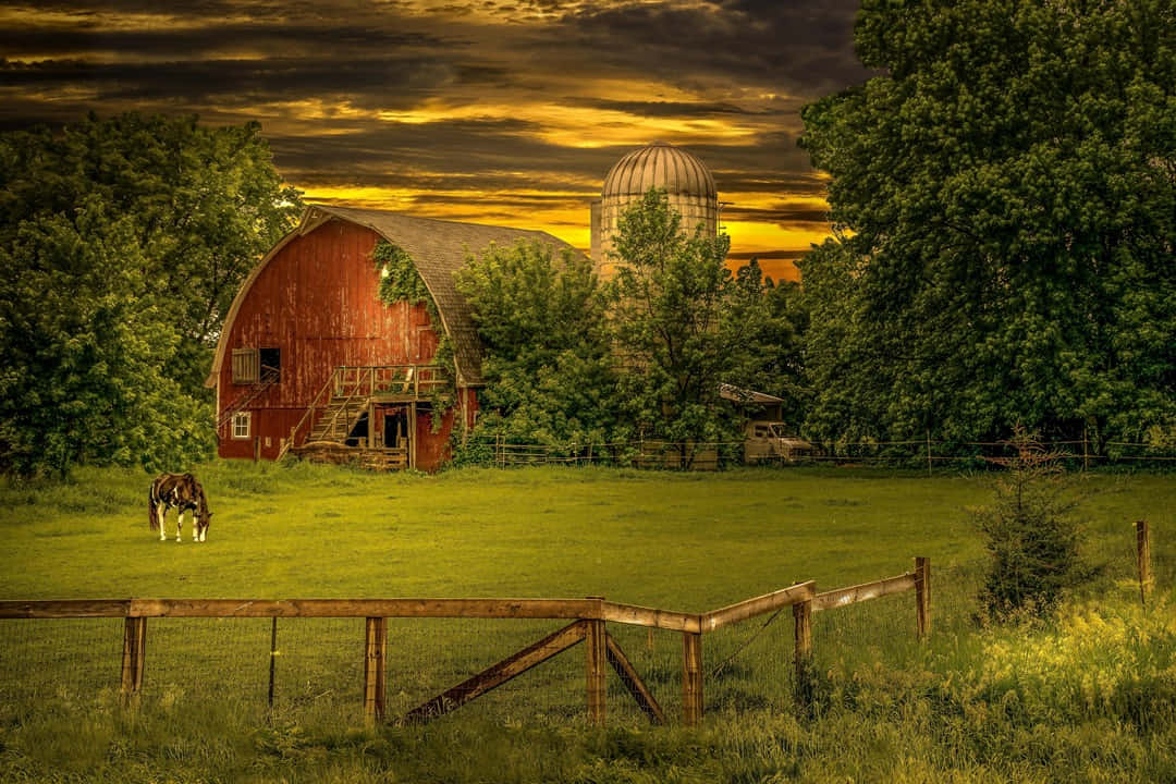 Fall Barn 桌布 壁紙 — 在戲劇性的金色日落天空下，一匹斑馬在一個綠意盎然的田野中，於一座質樸的紅色穀倉和筒倉前平靜地吃草。