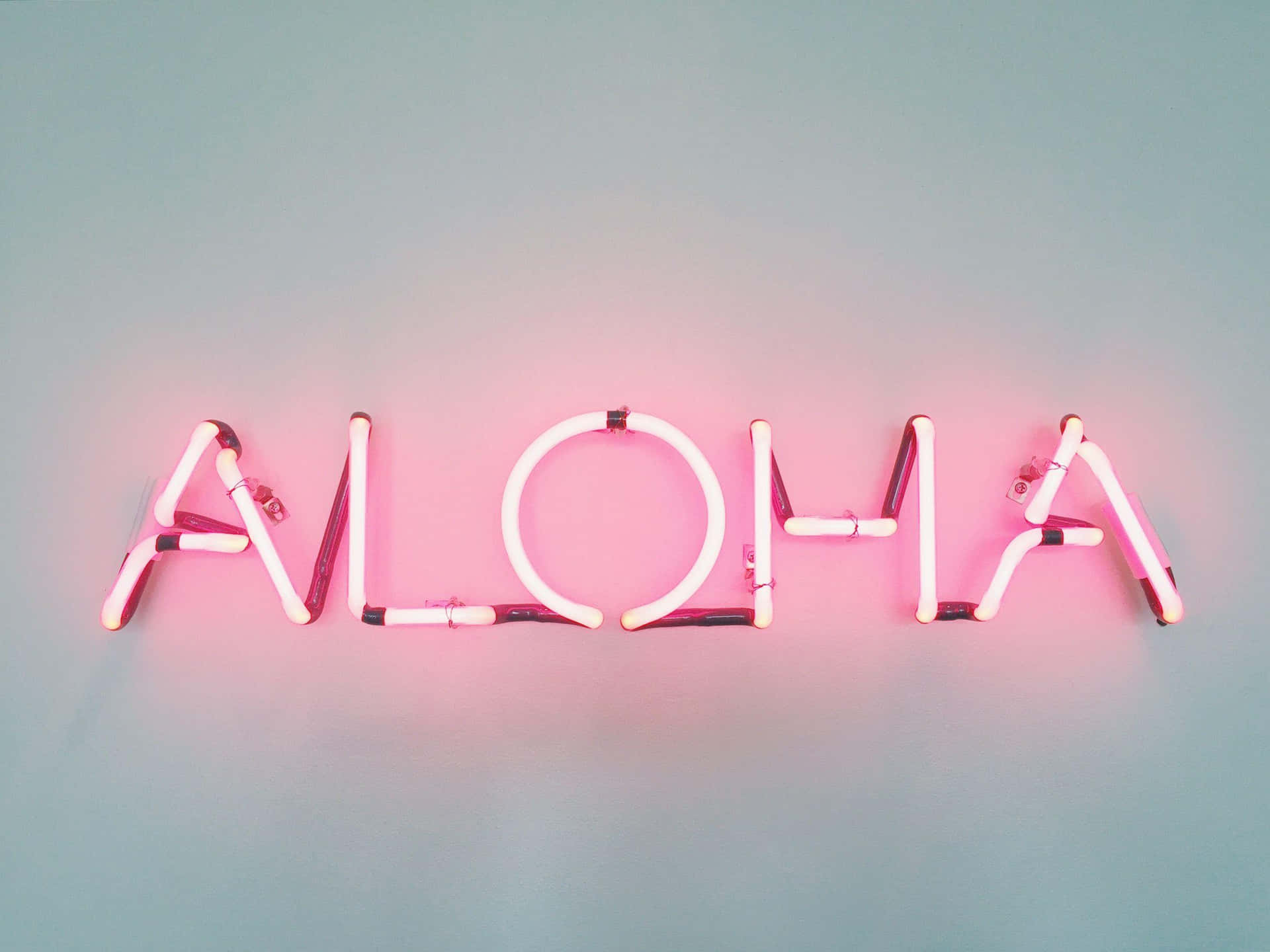 粉紅色霓虹燈牌在青綠色牆壁上拼寫 aloha
