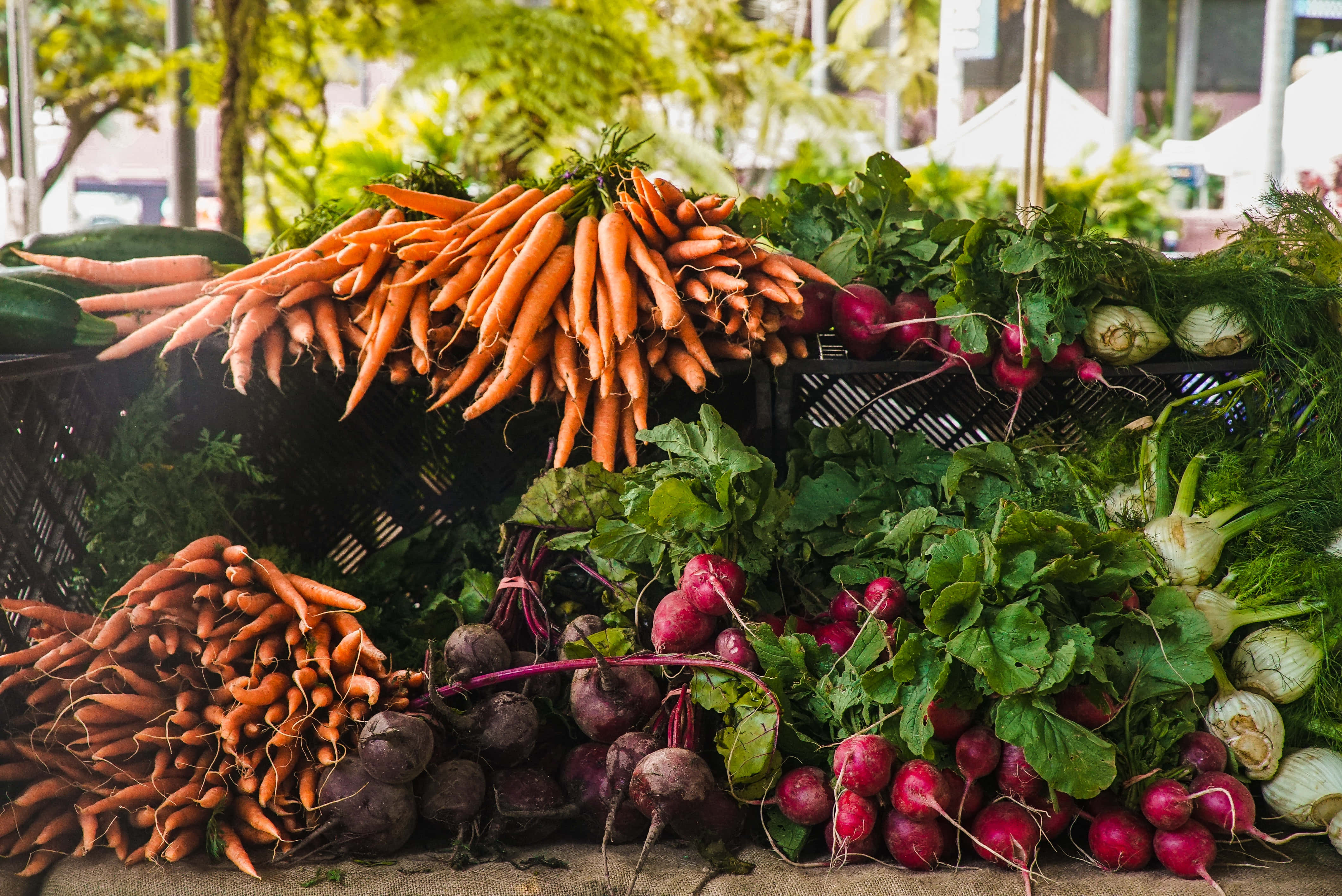 Farmers Market 桌布 壁紙 — 在斑駁陽光下的戶外市場攤位，展示著一堆充滿活力的新鮮紅蘿蔔、甜菜根和茴香。