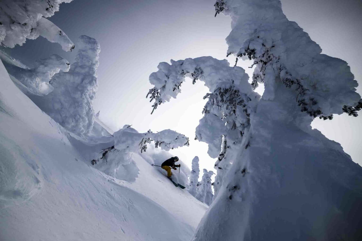 Skiing 桌布 壁紙 — 在明亮的冬日天空下，一名滑雪者在積雪覆蓋的樹木之間穿過厚厚的粉雪。