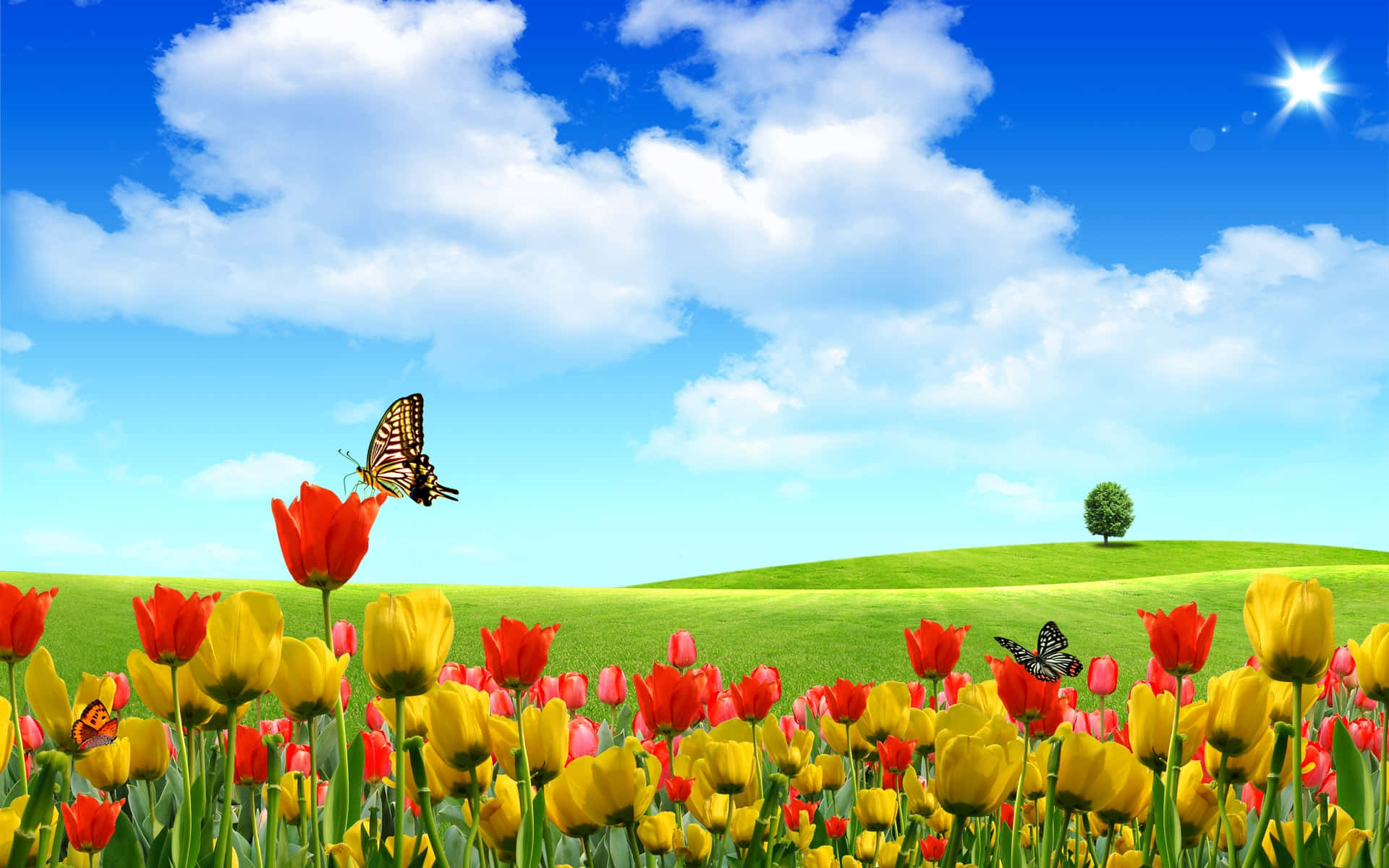 Tulip Field 桌布 壁紙 — 在明亮的藍天下，一片充滿活力的紅色和黃色鬱金香花田，伴隨著蓬鬆的雲朵和翩翩起舞的蝴蝶。