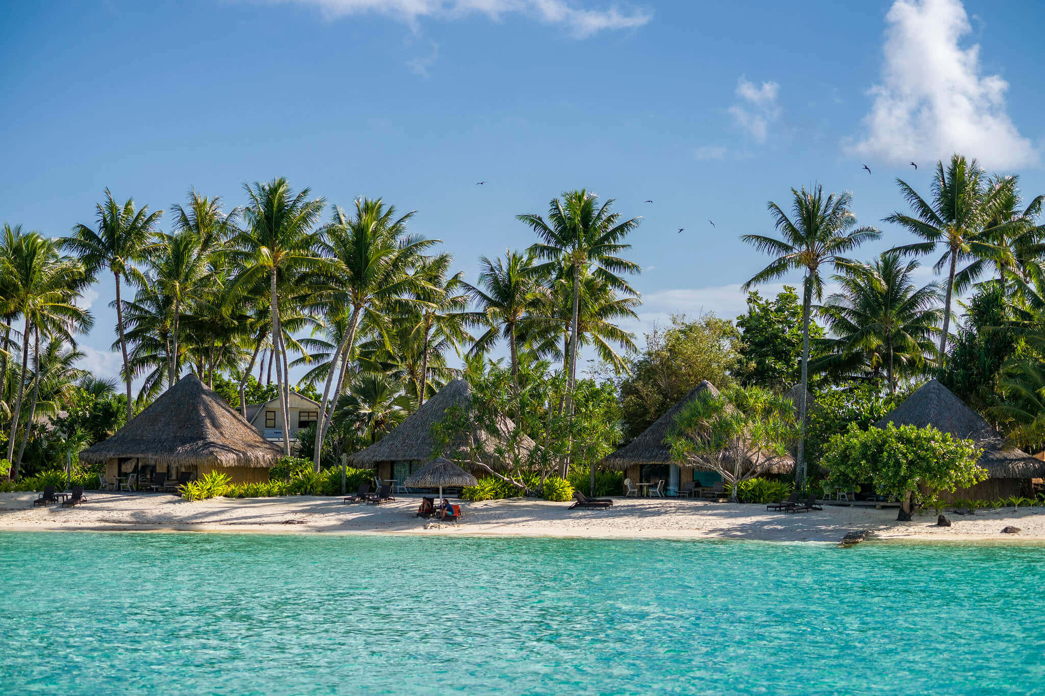 Bora Bora Beach 桌布 壁紙 — 在明亮的藍天下，茅草屋和參天棕櫚樹排列的白色沙灘上，碧綠的海水輕輕拍打。