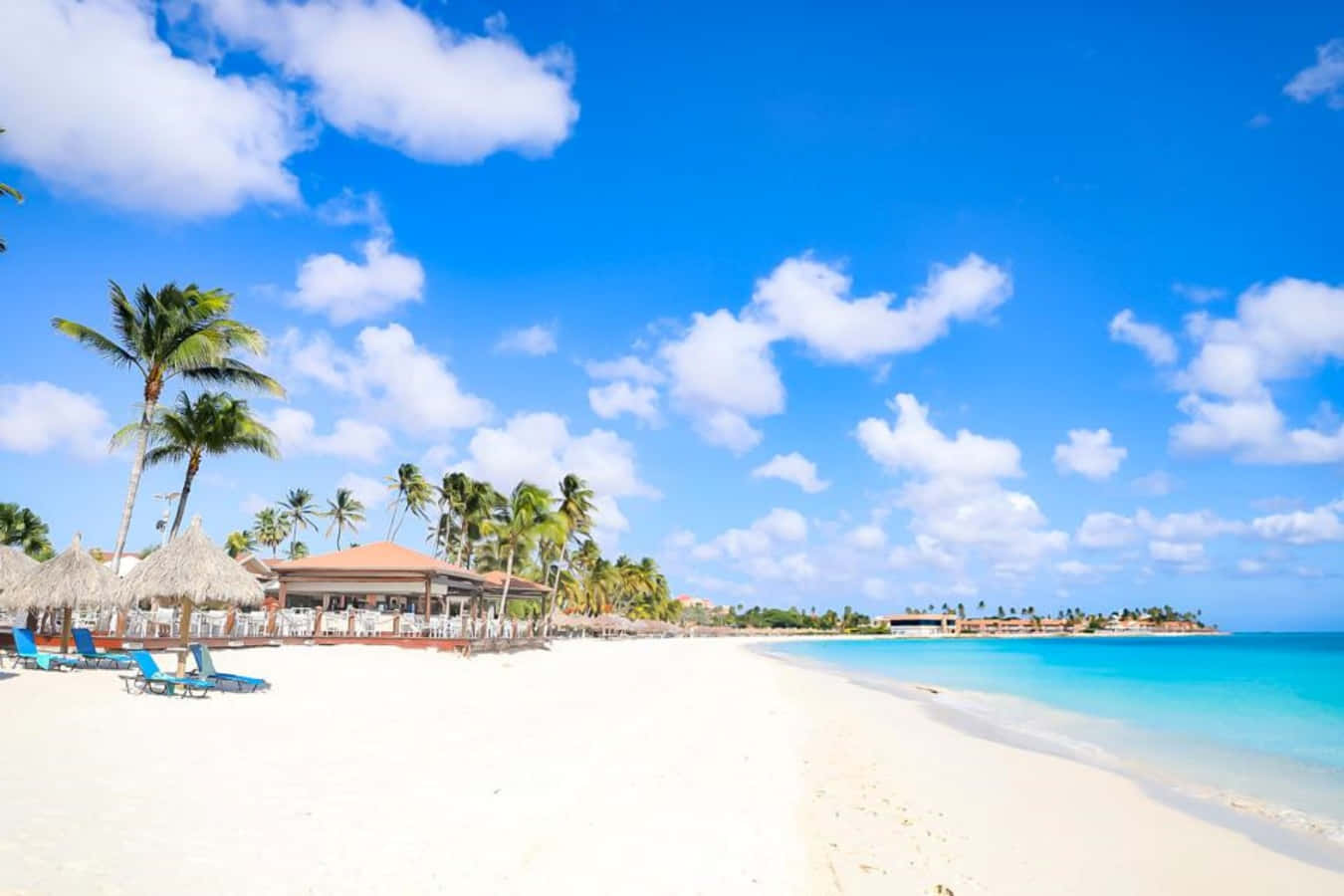 Aruba 桌布 壁紙 — 在明亮的藍天和蓬鬆的雲朵下，一條純淨的白色沙灘，兩旁種滿棕櫚樹和茅草傘。