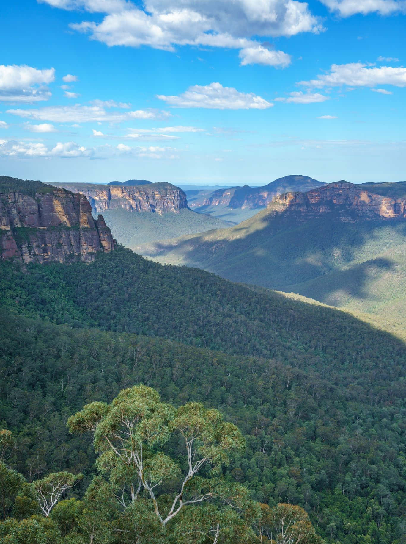 Blue Mountains National Park 桌布 壁紙 — 在明亮藍天和零星白雲下，高聳的紅色岩石懸崖與翠綠山谷的壯麗景色。