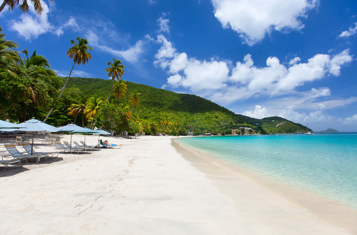 Caribbean Island 桌布 壁紙 — 在明亮藍天白雲下，棕櫚樹和躺椅排列的純白沙灘。