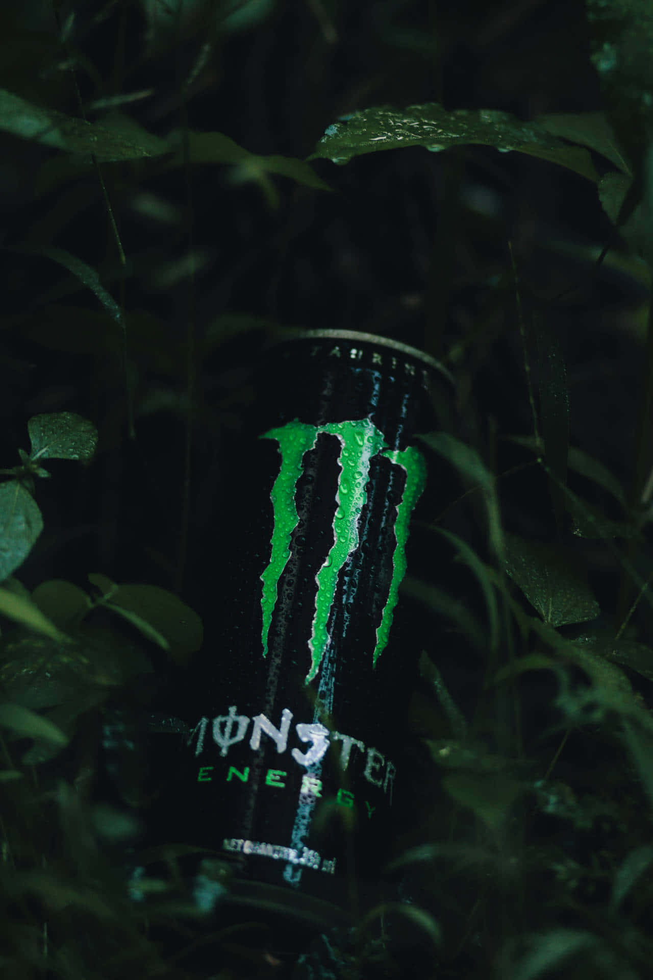 Monster Energy 桌布 壁紙 — 在昏暗的森林光線下，一個發光的綠色Monster Energy罐藏在潮濕的深色樹葉中。