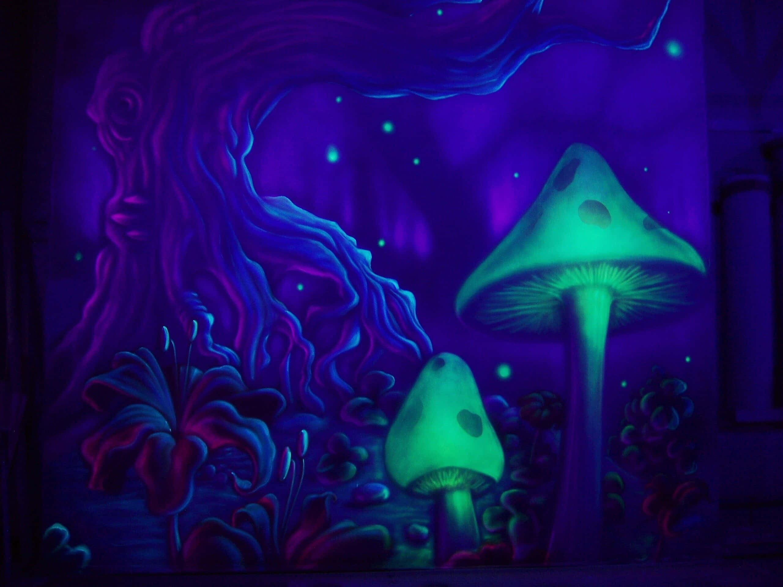 Trippy Nature 桌布 壁紙 — 在星空下的神秘森林中，發光的綠色蘑菇和扭曲的紫色樹木。