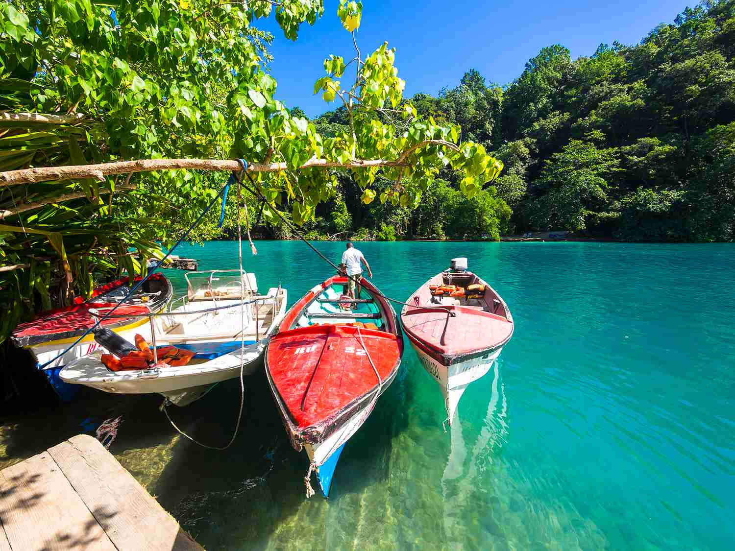 Jamaica 桌布 壁紙 — 在晴朗的日子裡，充滿活力的碧綠海水輕托著色彩繽紛的船隻，上方是茂密的綠色樹冠。