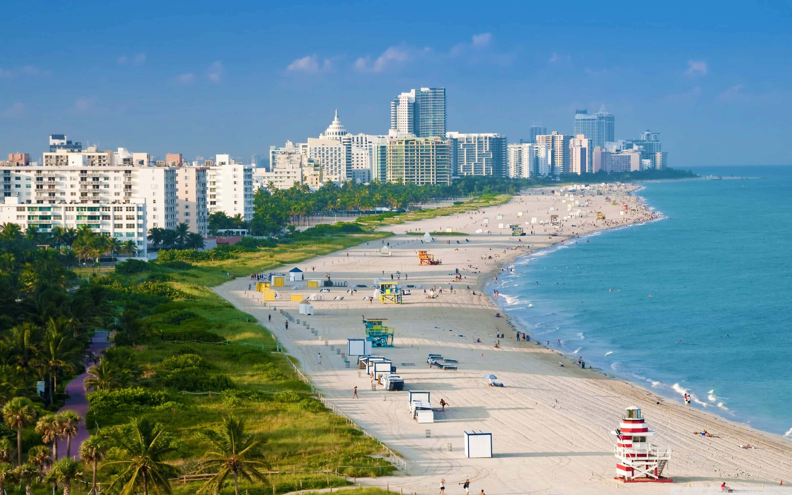 Miami 桌布 壁紙 — 在晴朗的藍天下，邁阿密海灘熱鬧非凡，碧綠的海浪拍打著寬闊的沙灘，沙灘兩旁種滿棕櫚樹和現代高樓大廈。