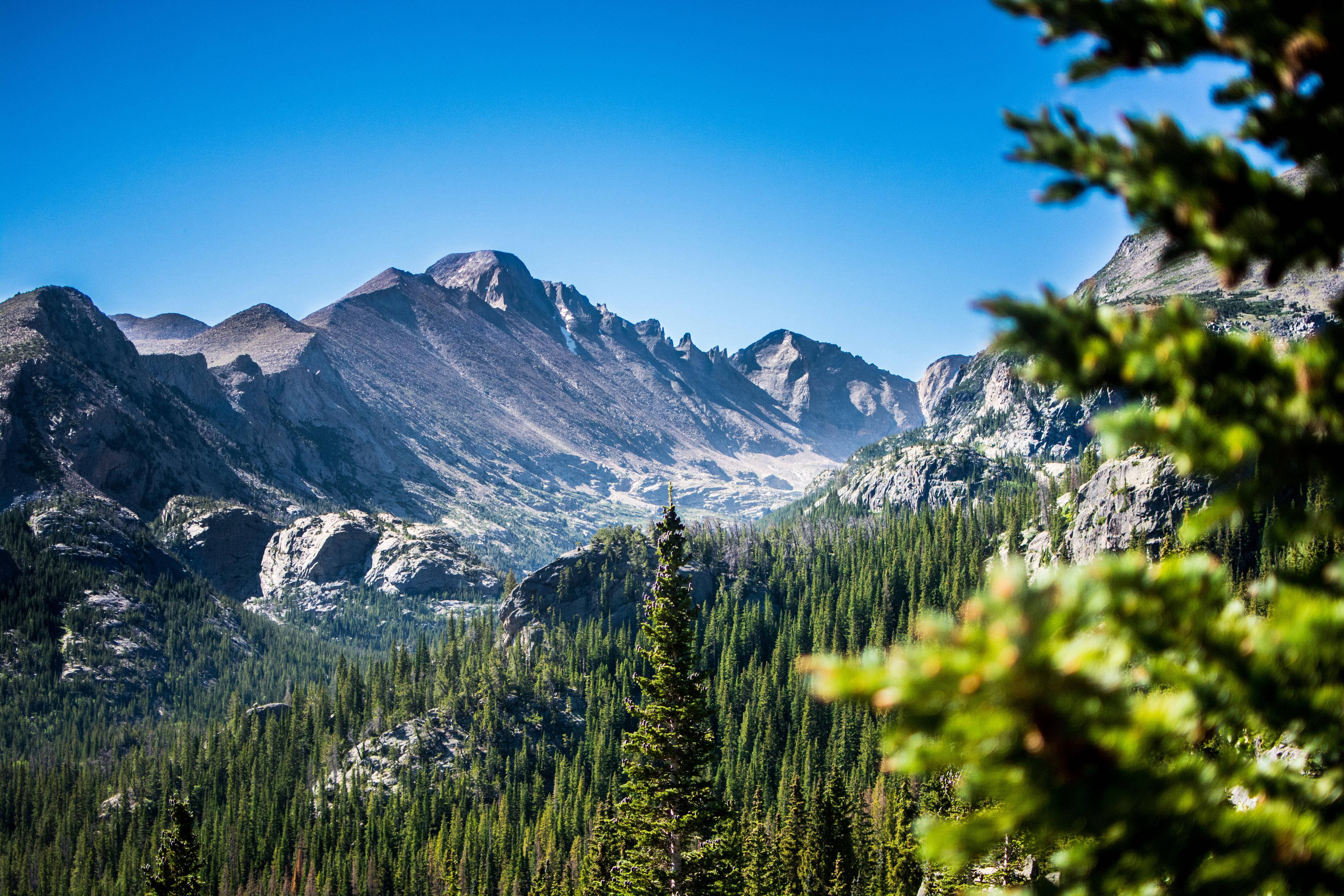 Mountain 桌布 壁紙 — 在晴朗藍天下，由充滿活力的綠色松樹框住的崎嶇山峰的壯麗景色。