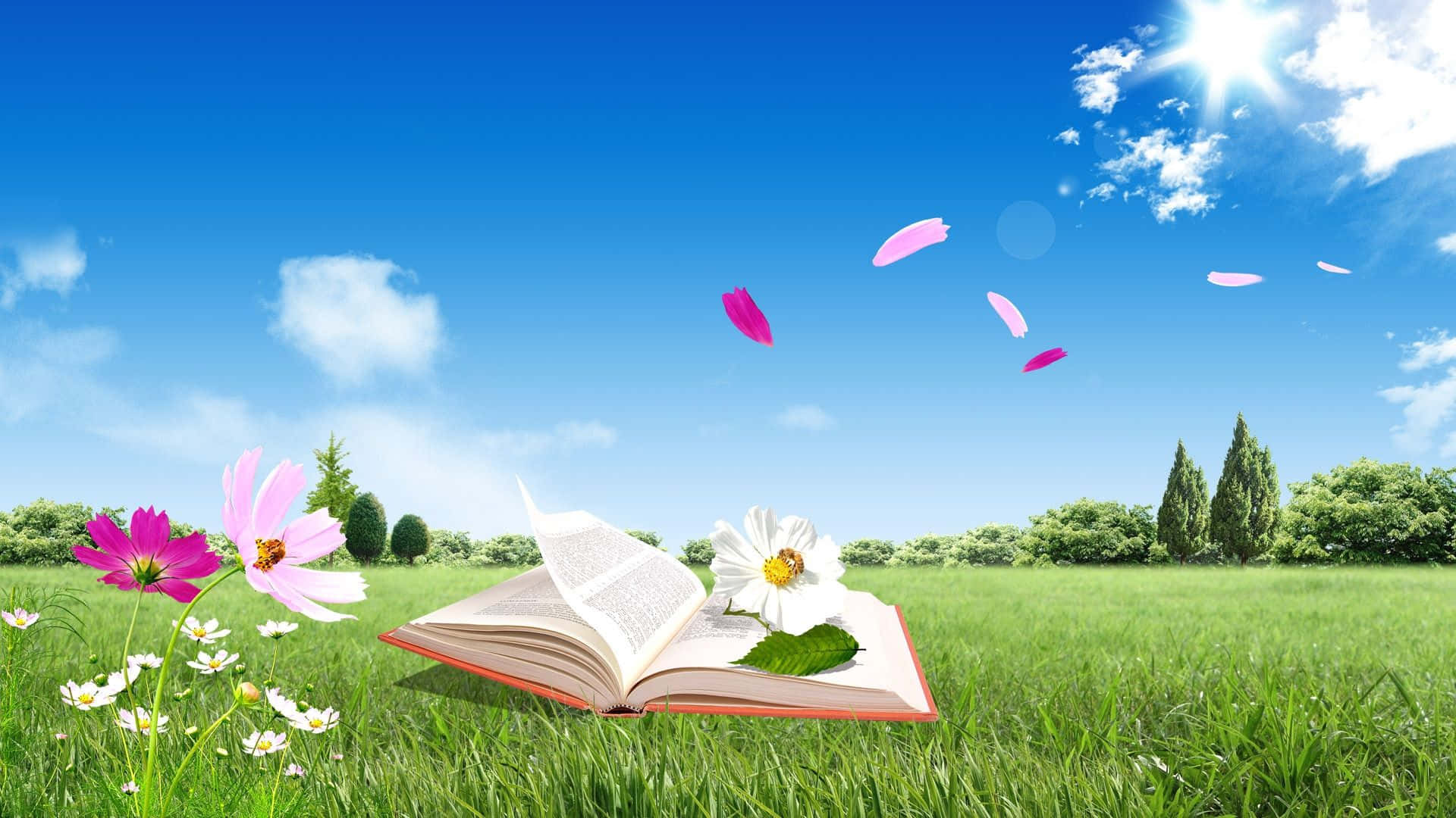 草地上打開的書，花瓣在晴朗的天空下飄浮