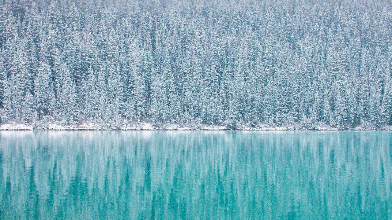 Winter Forest Phone 桌布 壁紙 — 在柔和日光下，寧靜的冬日湖面映照著積雪的常綠樹。