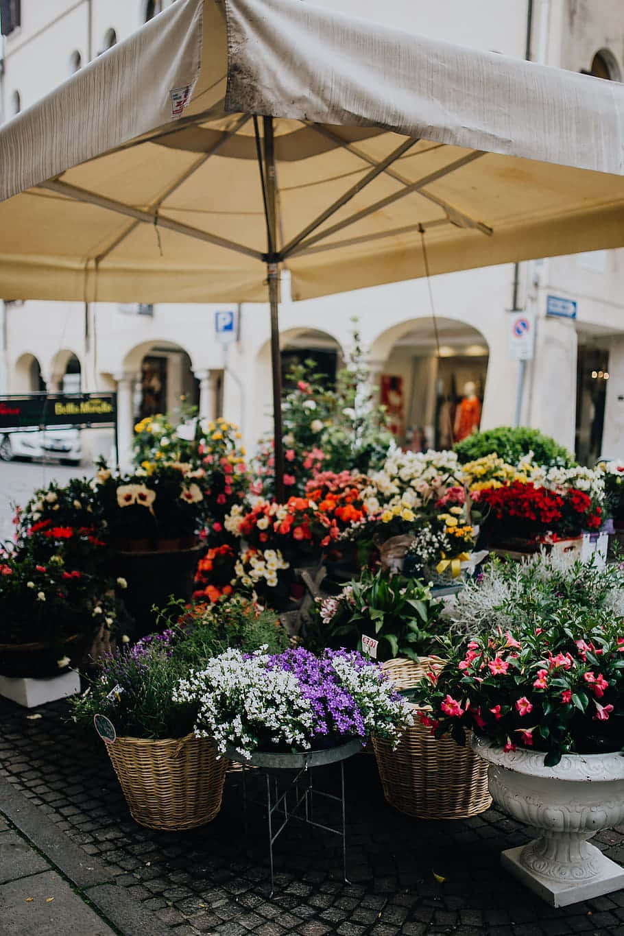 Flower Shop 桌布 壁紙 — 在柔和日光下，鵝卵石街道上拱形建築物旁的米色遮陽篷下，色彩繽紛的花攤。
