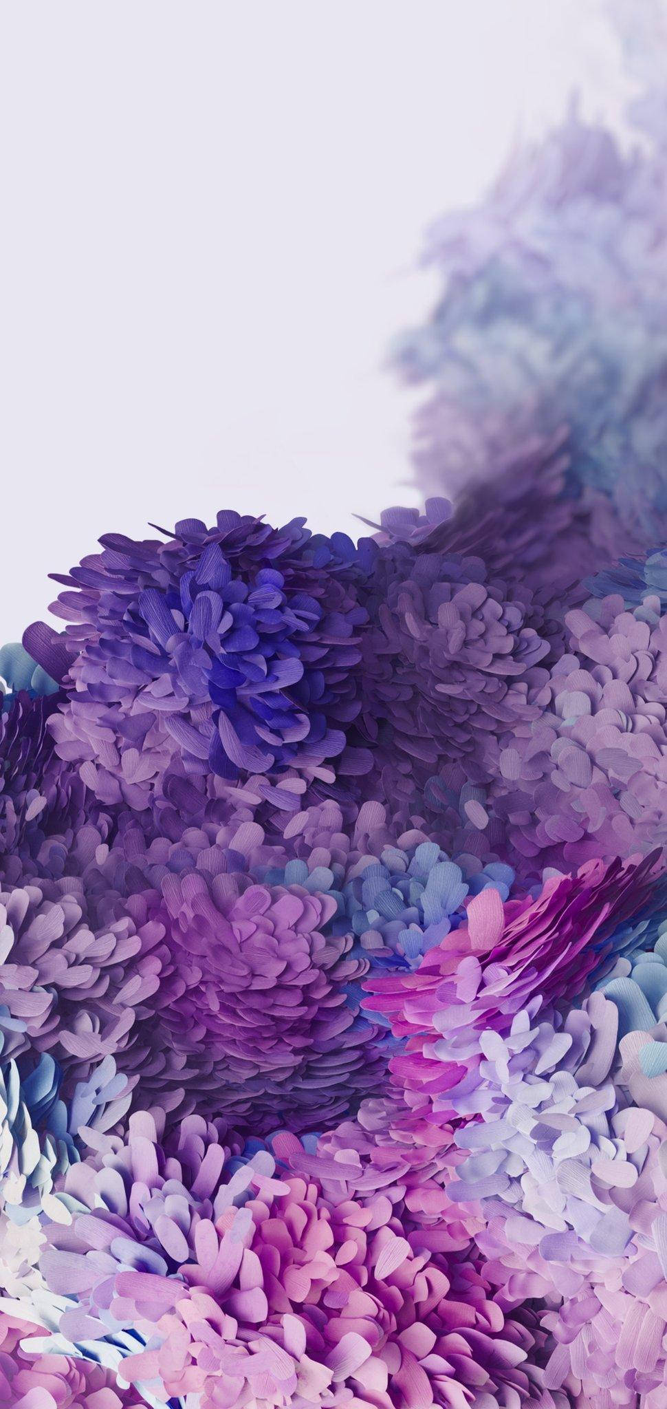 Lavender 桌布 壁紙 — 在柔和的白色背景上，紫色、粉紅色和藍色的鮮豔抽象花卉爆發。