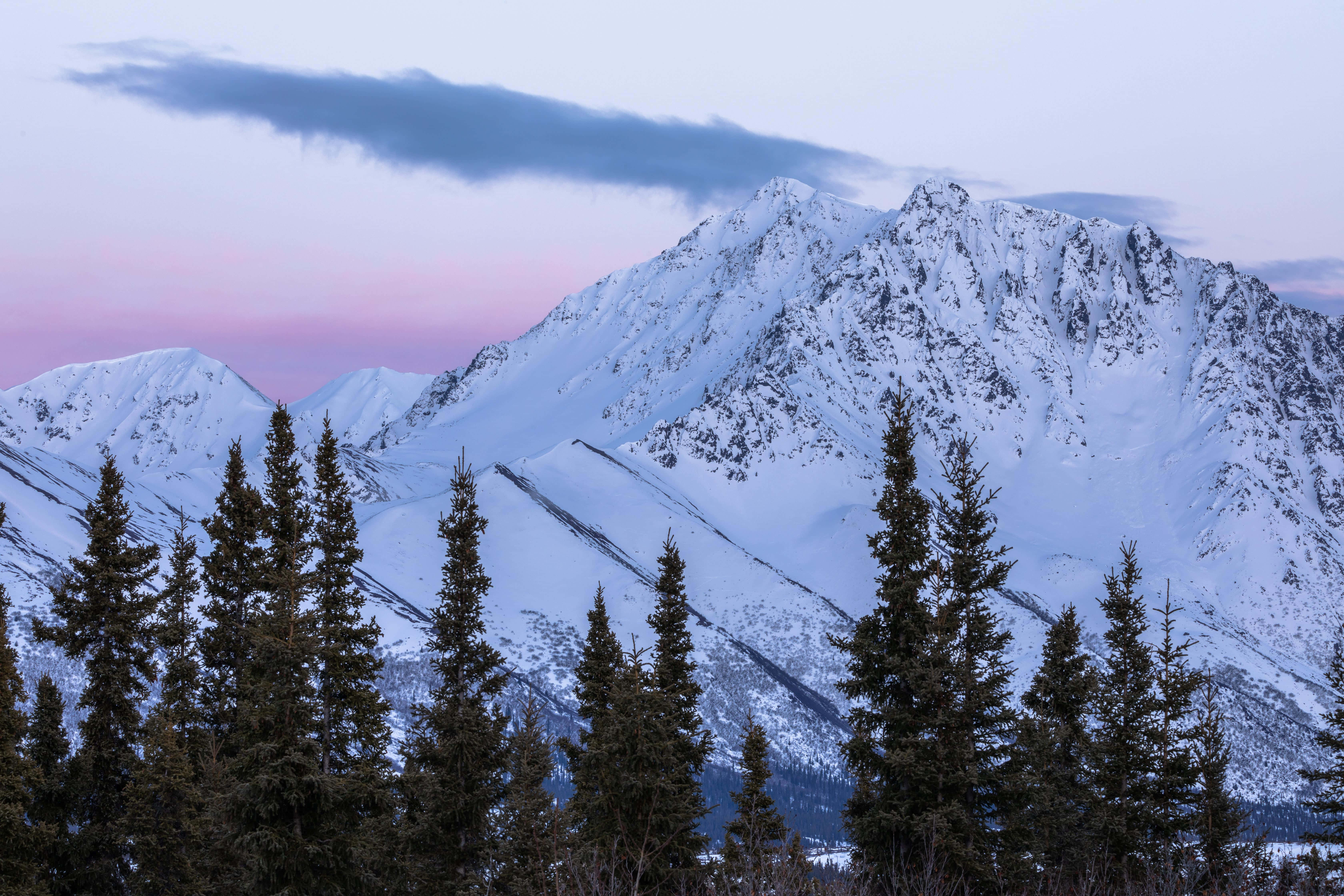 Snowy Landscape 桌布 壁紙 — 在柔和粉紅與紫色的暮色天空下，白雪覆蓋的山峰在一排深色常綠樹後方升起。