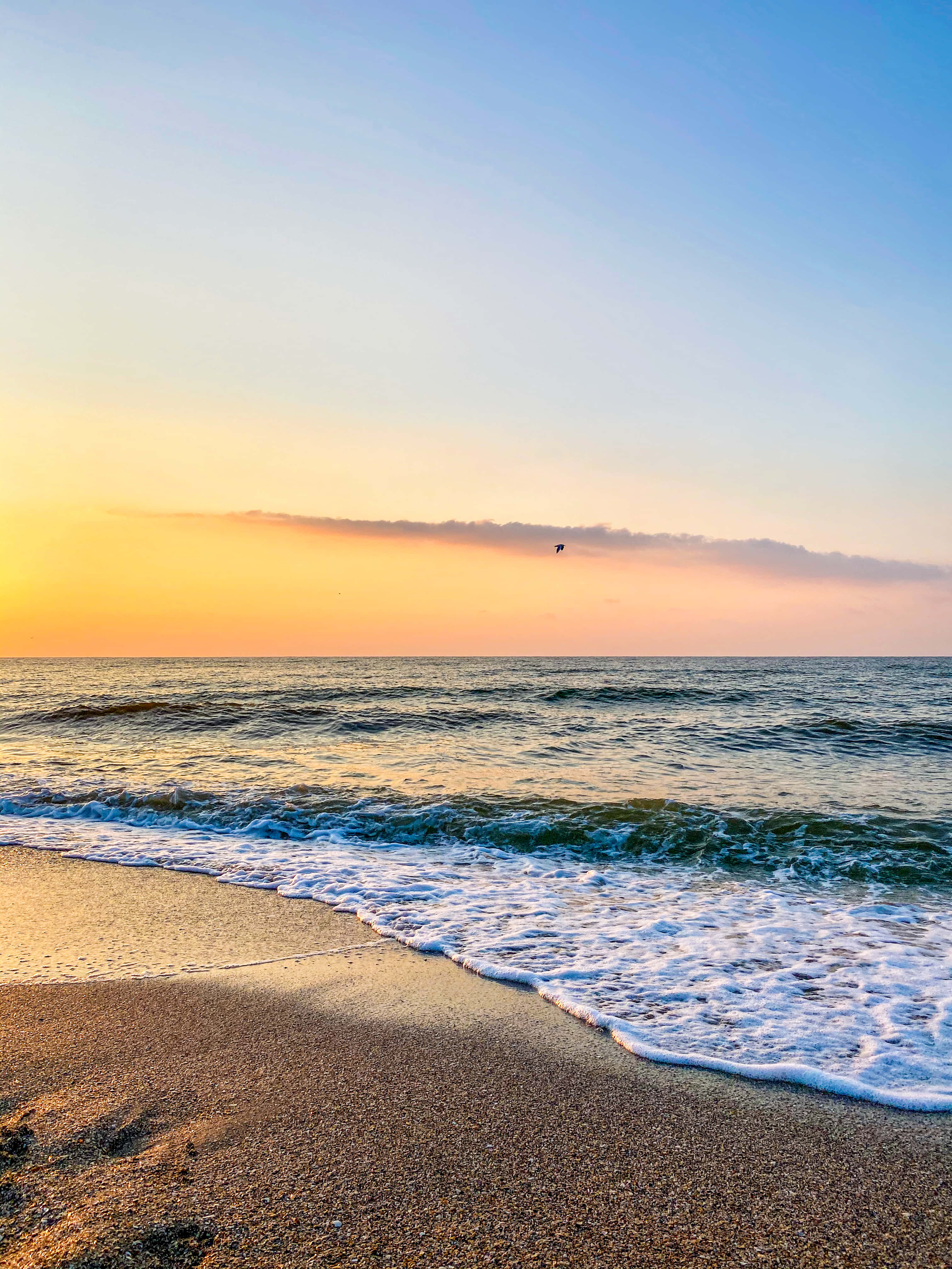 在海灘享受令人屏息的時光 壁紙 — 金色夕陽灑落在平靜的海浪上，海浪滾滾湧上沙灘，一隻孤鳥在頭頂飛翔。