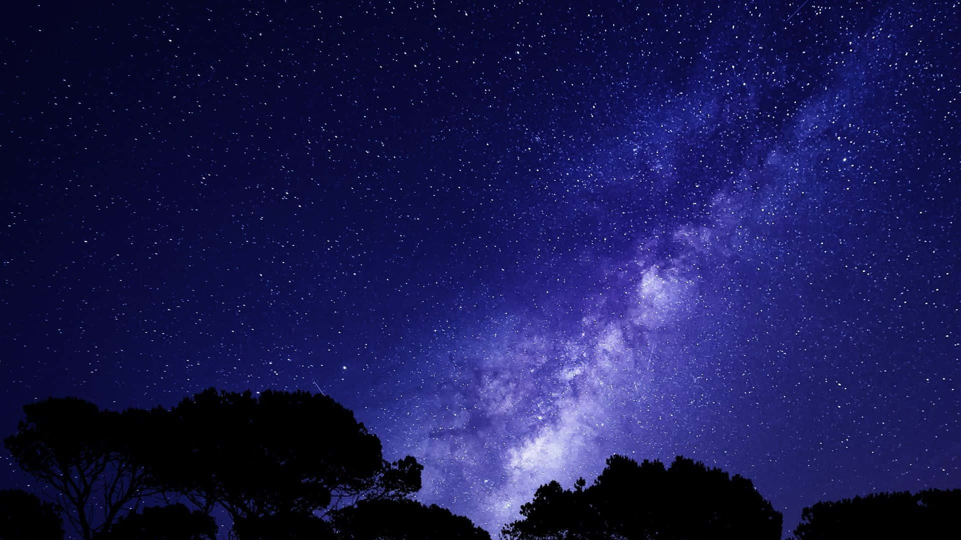 Midnight 桌布 壁紙 — 在深紫色和藍色夜空中，黑暗樹木剪影上方閃耀的銀河系令人嘆為觀止的景色。