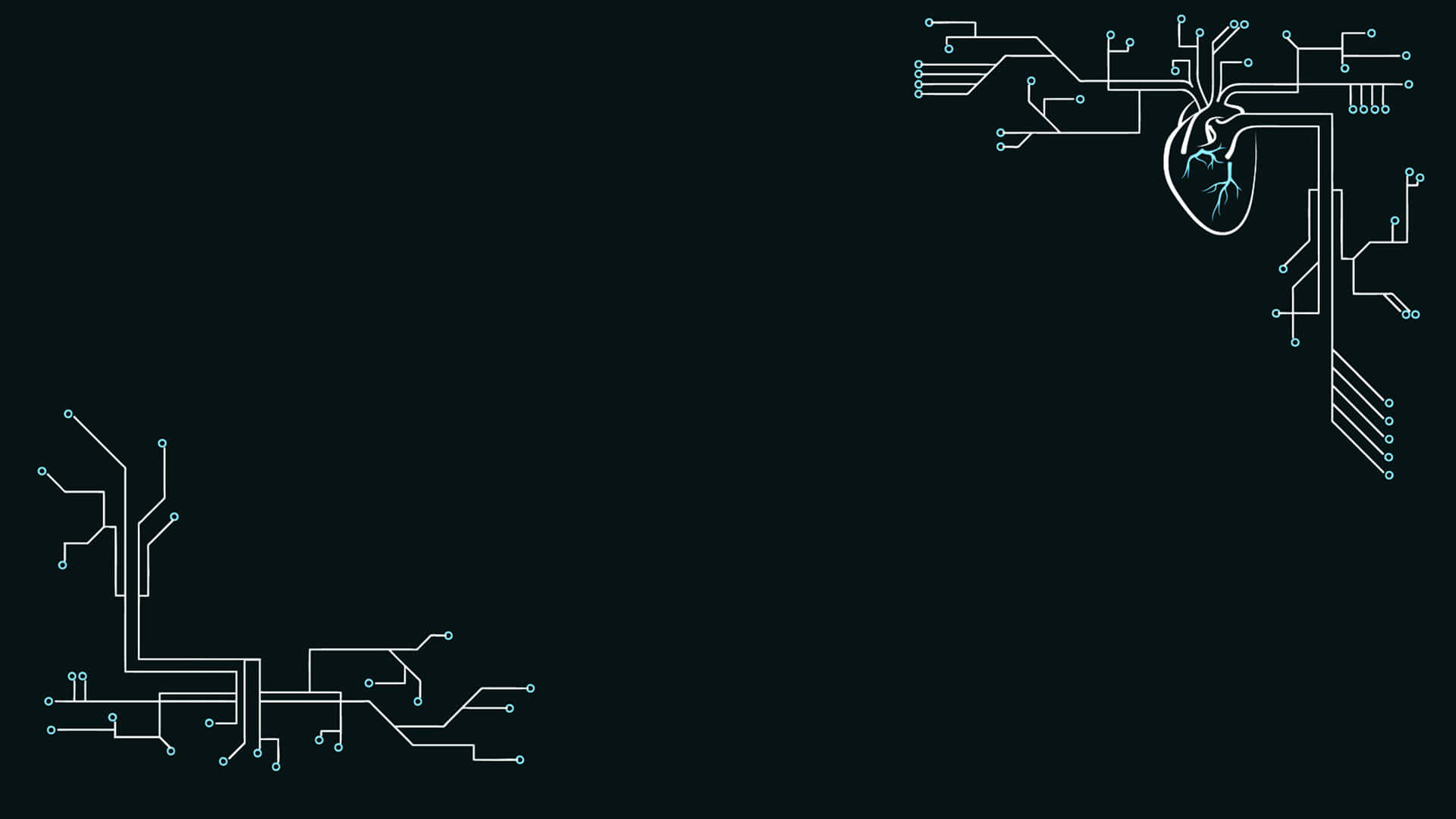Circuit 桌布 壁紙 — 在深色背景上帶有分支電子路徑的發光電路板心形設計。