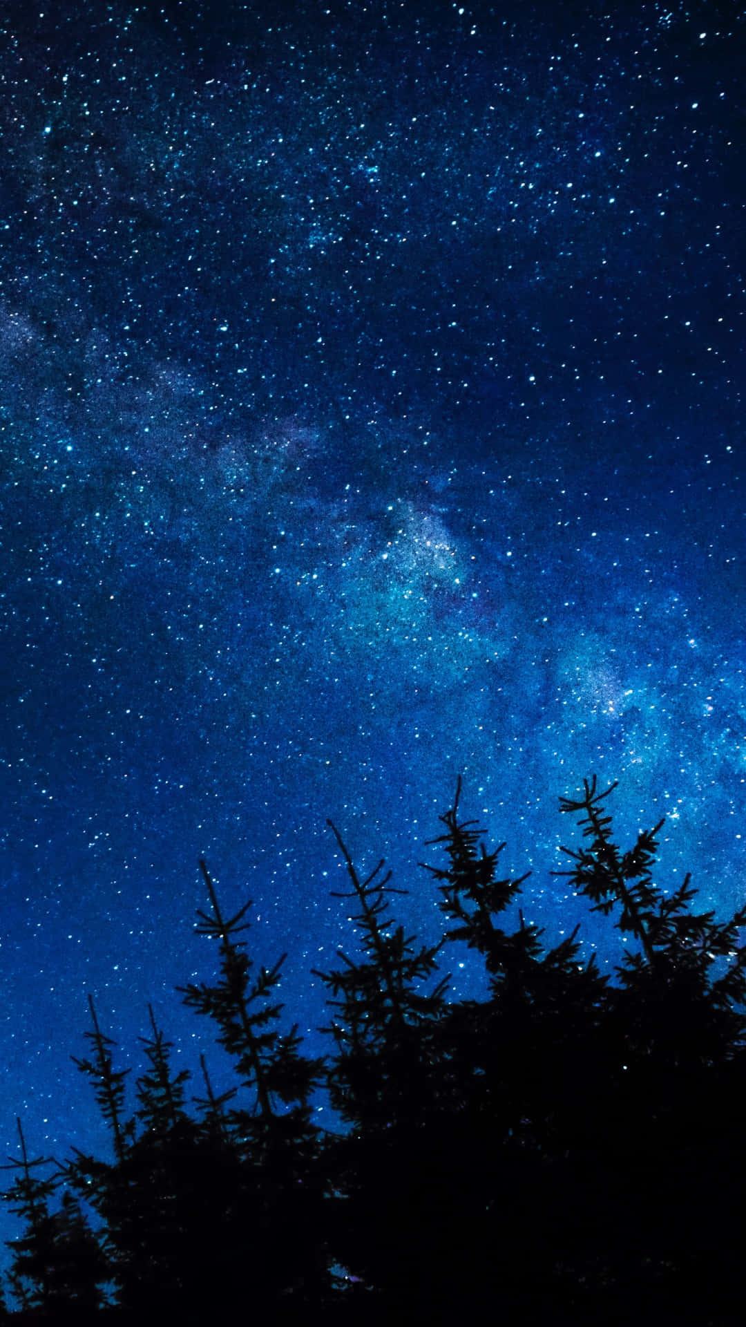 Starry Sky 桌布 壁紙 — 在深藍色夜空中閃耀的銀河系，下方是黑色剪影的松樹，令人嘆為觀止的景色。