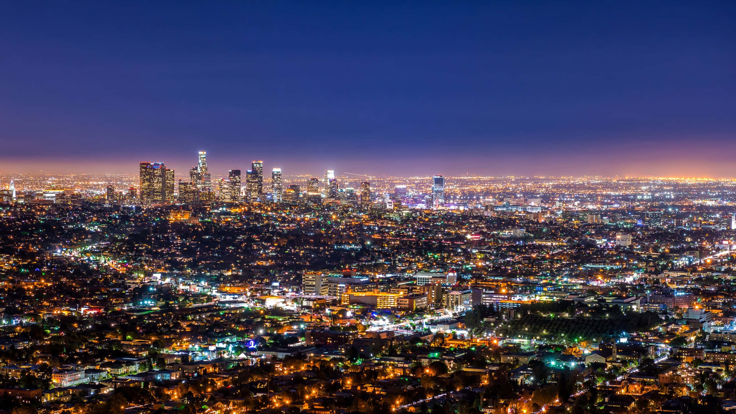 La 桌布 壁紙 — 在深藍色天空下，一個廣闊的夜景城市景觀，閃爍的摩天大樓和密集的社區。