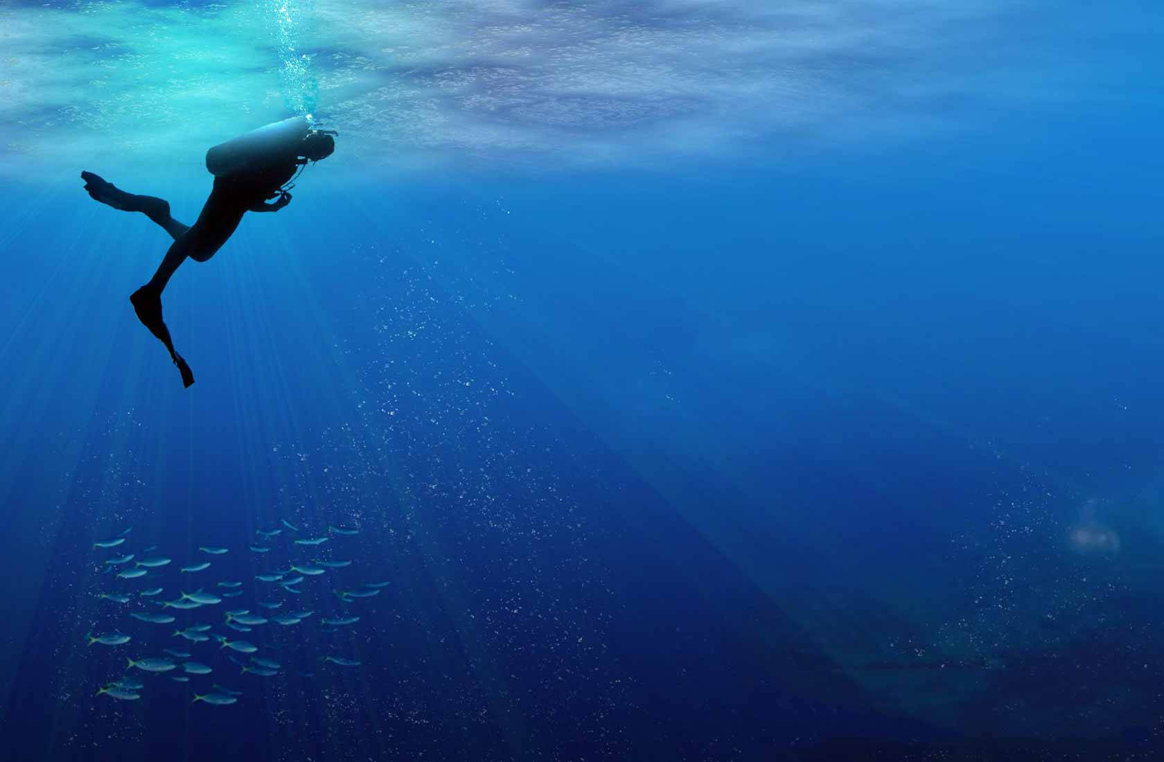 水肺潛水員在陽光照射的海洋深處與魚群一起游泳。