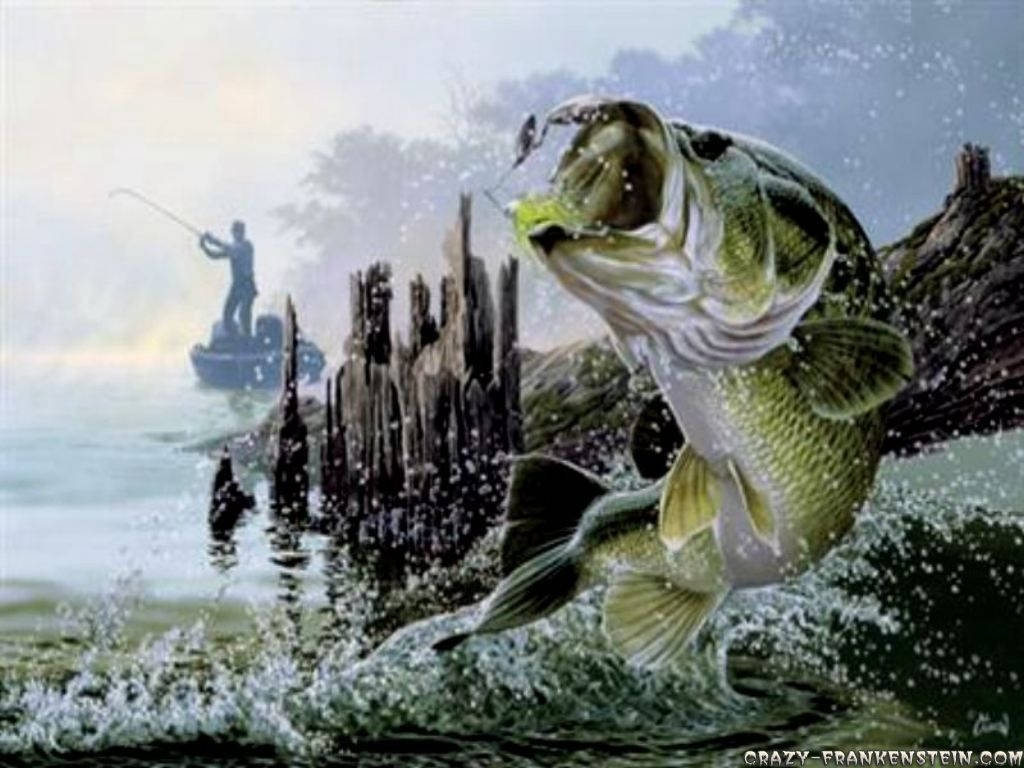 一條大鱸魚從樁柱附近的水中躍起，漁夫從船上收線。