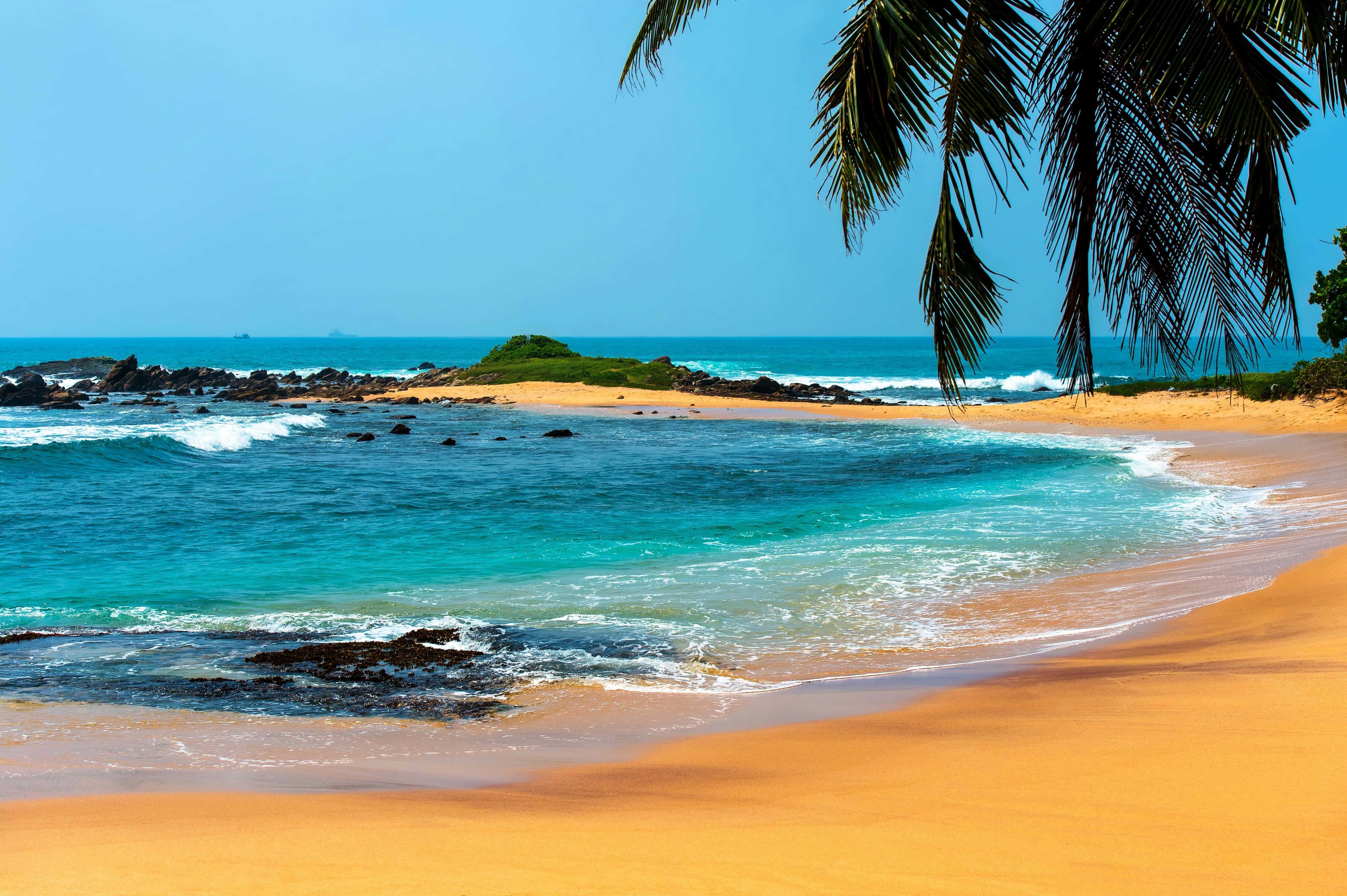 Beautiful Beach 桌布 壁紙 — 在清澈的藍天下，綠松石色的海浪拍打著金色的沙灘，棕櫚葉隨風搖曳。