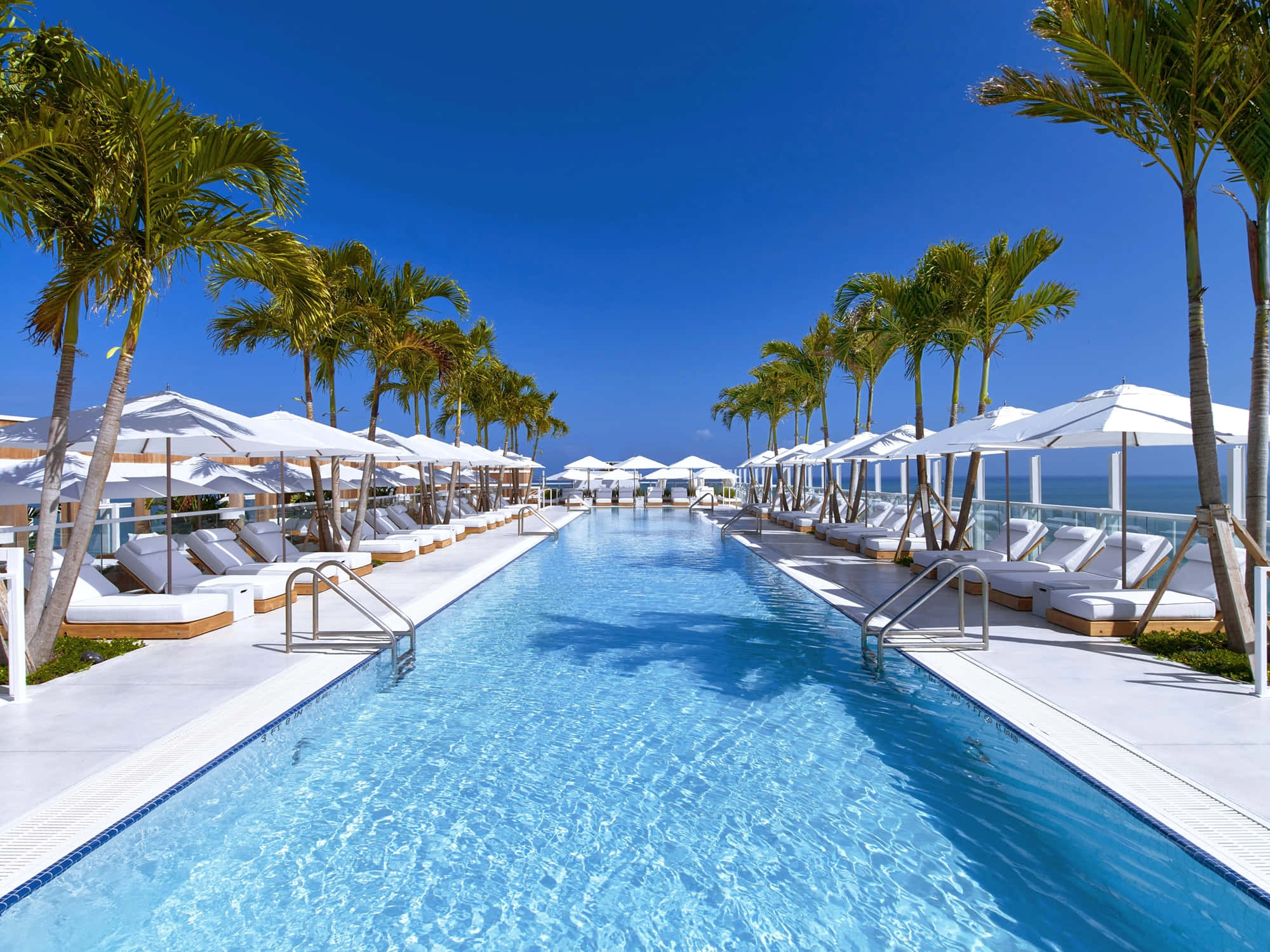 Beach Swimming Pool 桌布 壁紙 — 在清澈藍天下，一條長長的無邊際泳池，兩旁擺放白色躺椅和棕櫚樹。