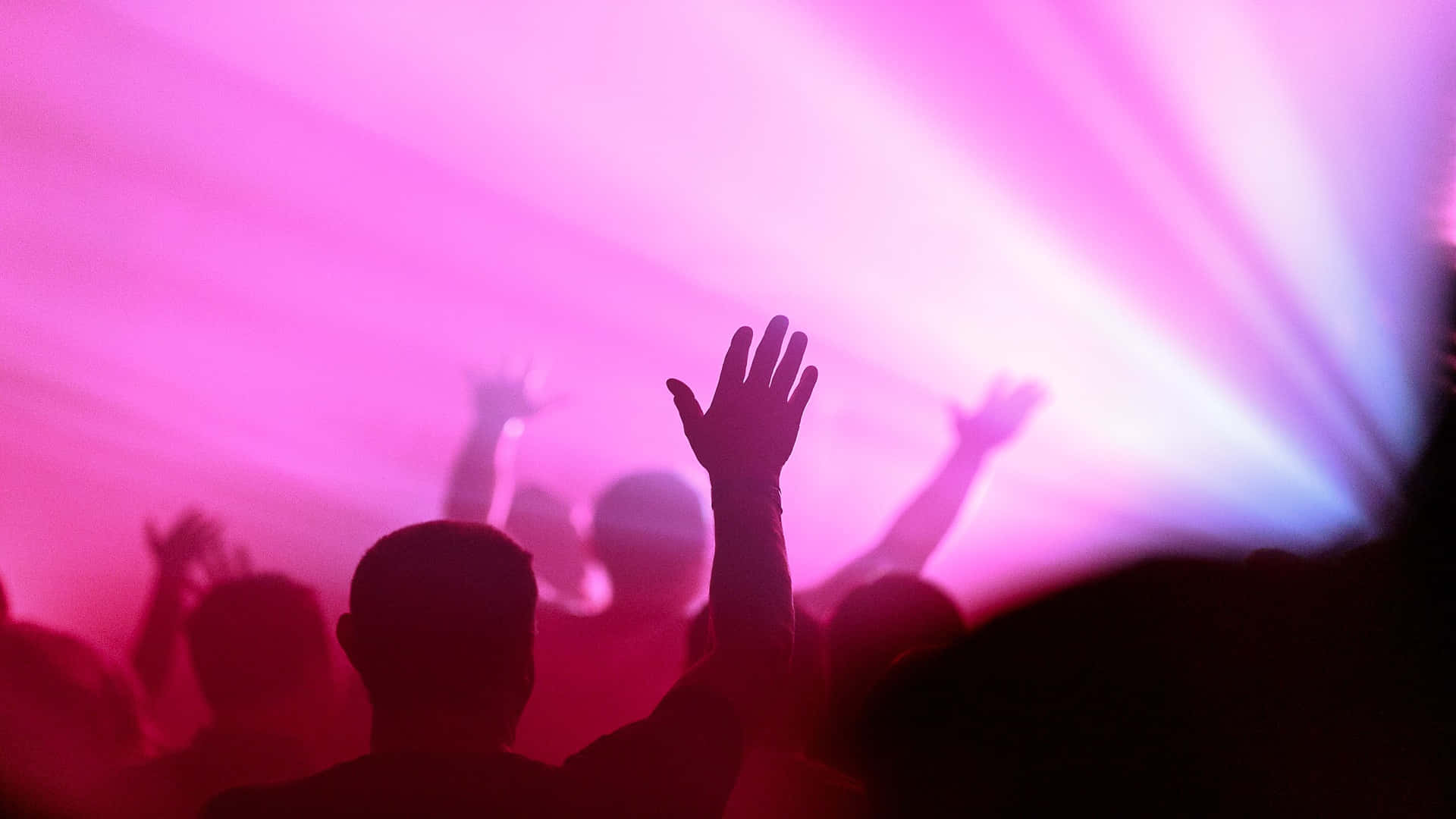 Eternal Life 桌布 壁紙 — 在演唱會上，剪影人群在充滿活力的粉紅色和紫色舞台燈光下舉起雙手。
