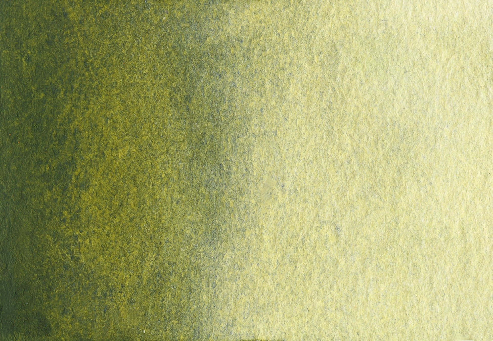 Olive Green 桌布 壁紙 — 在粗糙紙張上，從深橄欖綠到淡黃色的紋理水彩漸變。