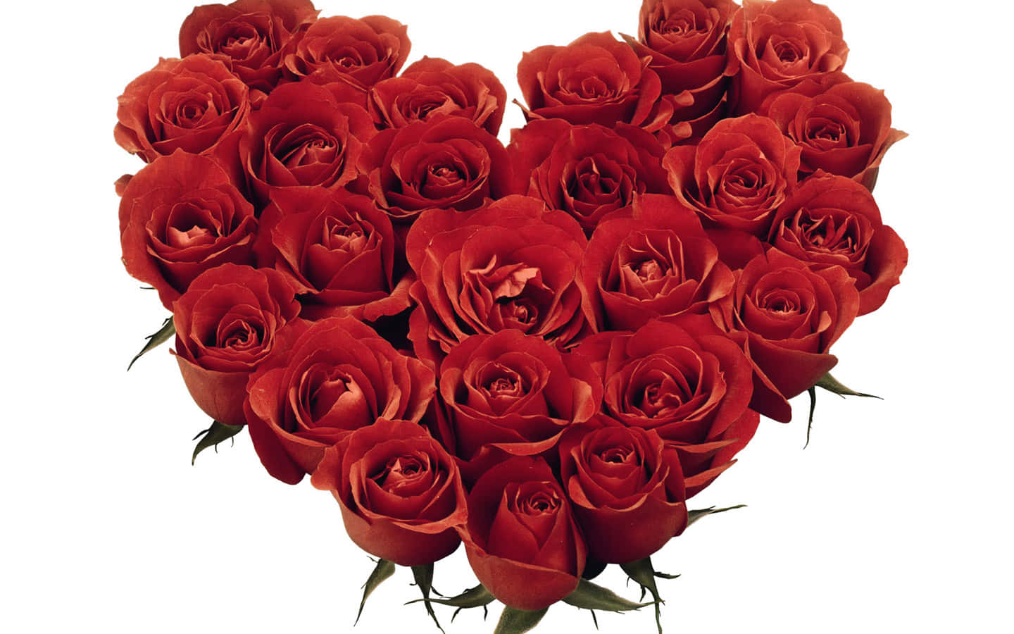 Rose Heart 桌布 壁紙 — 在純白背景上，以深紅玫瑰和綠色莖幹組成的豐盛心形佈置。