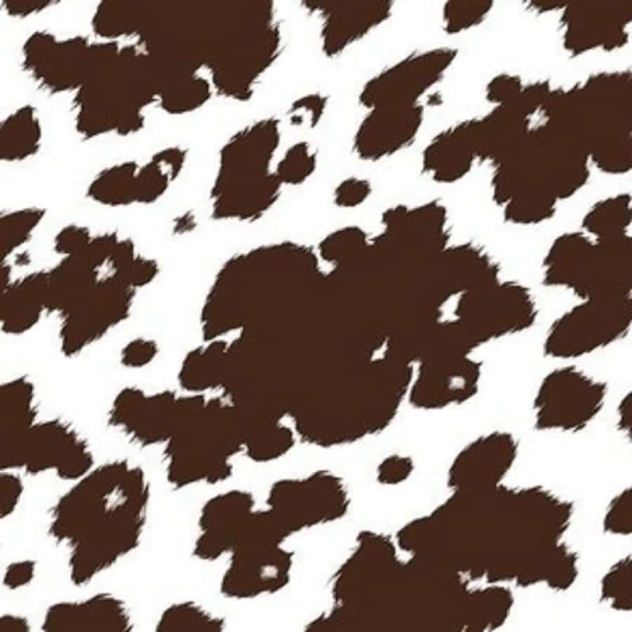 Brown Cow Print 桌布 壁紙 — 在純白背景上帶有不規則棕色斑點的無縫乳牛圖案。