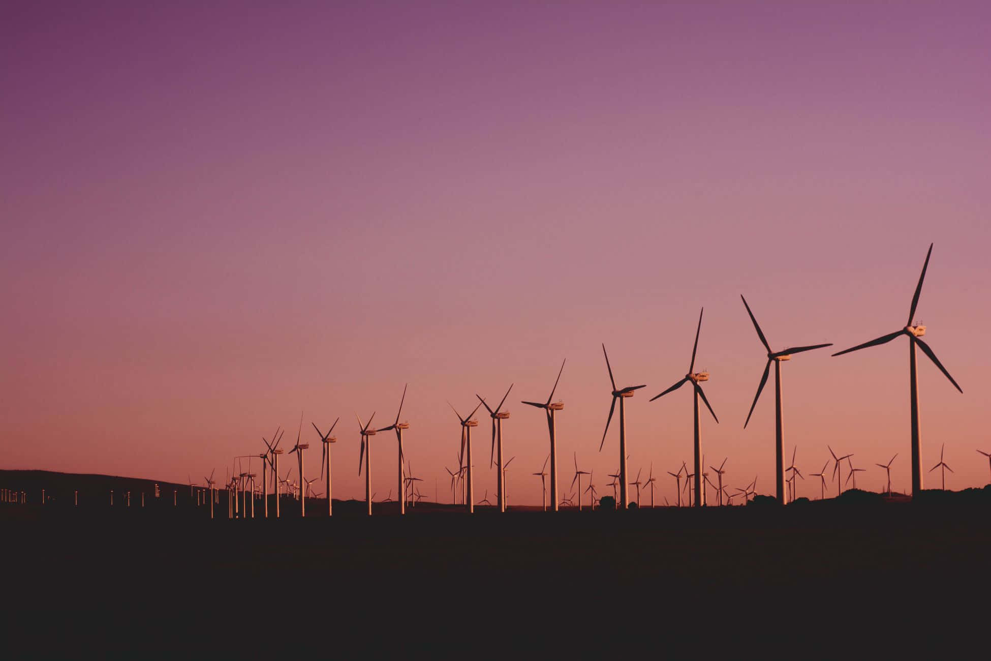 Renewable Energy 桌布 壁紙 — 在紫色和粉紅色的漸變天空下，風力渦輪機的剪影橫跨暮色田野。