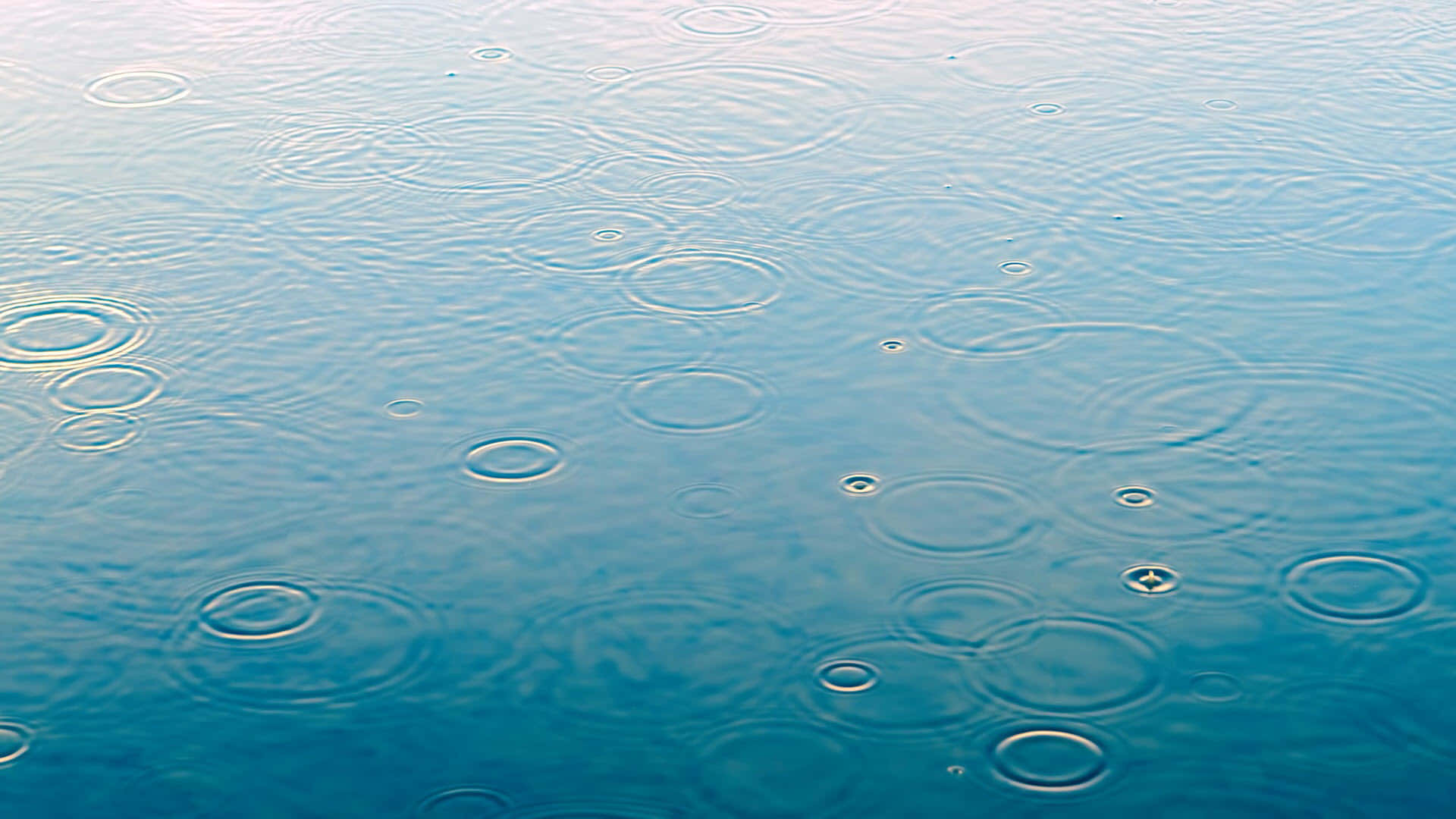 雨滴在平靜的藍色水面上形成漣漪。