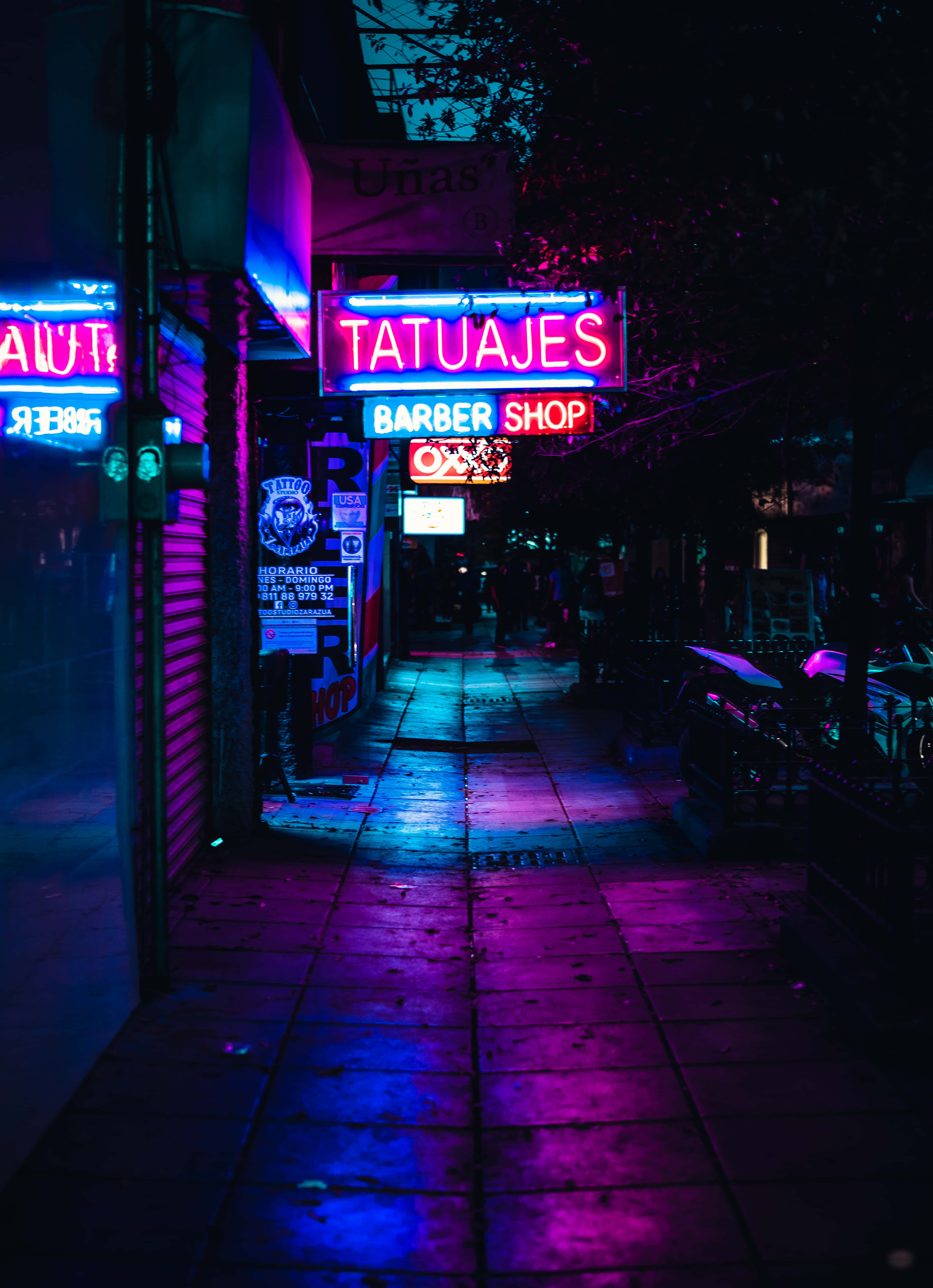 在繁星夜空下，舞動於光之萬花筒 壁紙 — 夜晚一條霓虹燈小巷，鮮豔的粉紅色和藍色招牌倒映在濕漉漉的路面上。