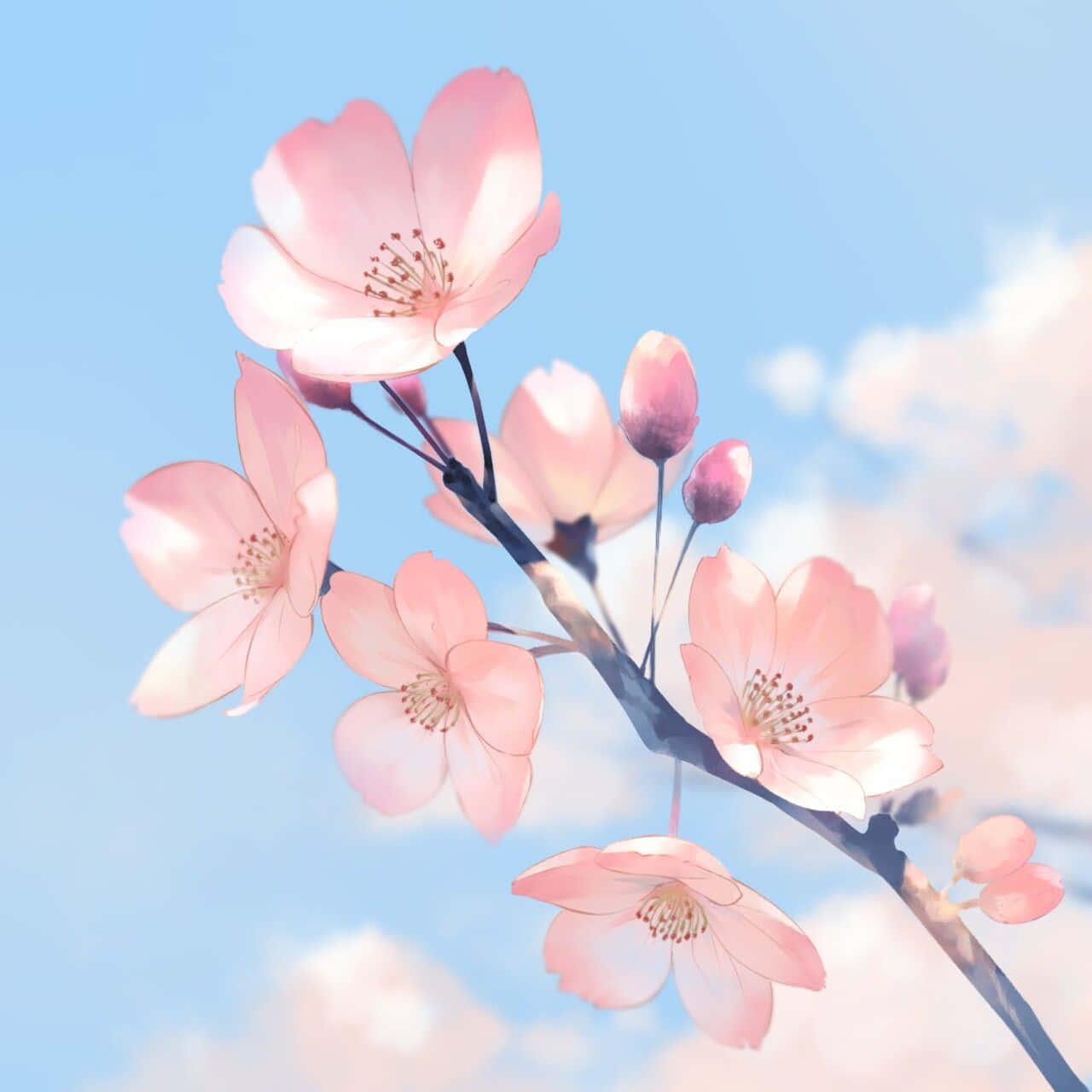 粉紅色櫻花在樹枝上，背景是藍天白雲。