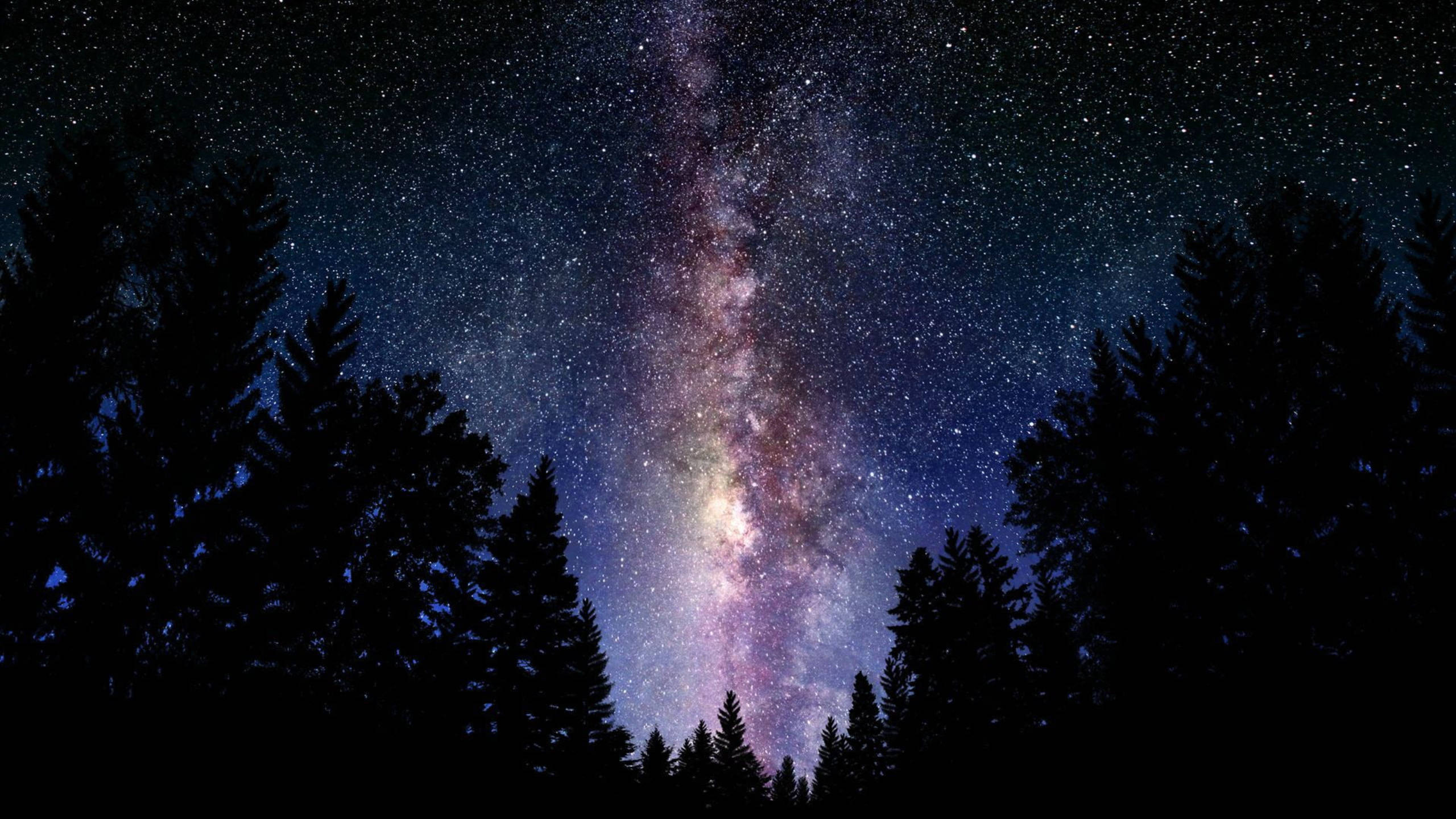 太空 桌布 壁紙 — 在繁星點點的夜空下，黑暗森林剪影上方，銀河系散發著粉紅色和紫色光芒的壯麗景色。